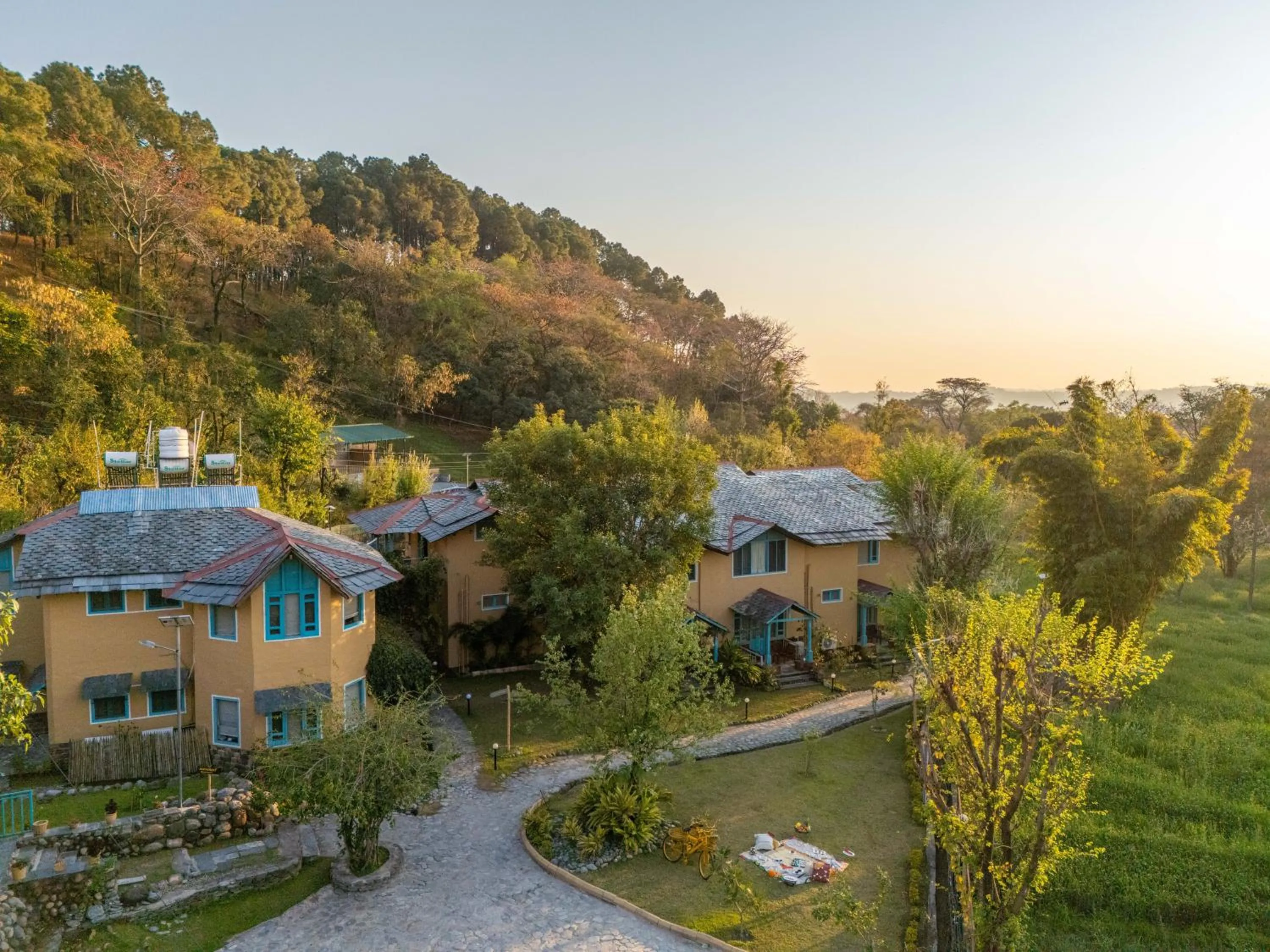 View (from property/room) in Tree of Life Birdsong Chalets , Dharamshala