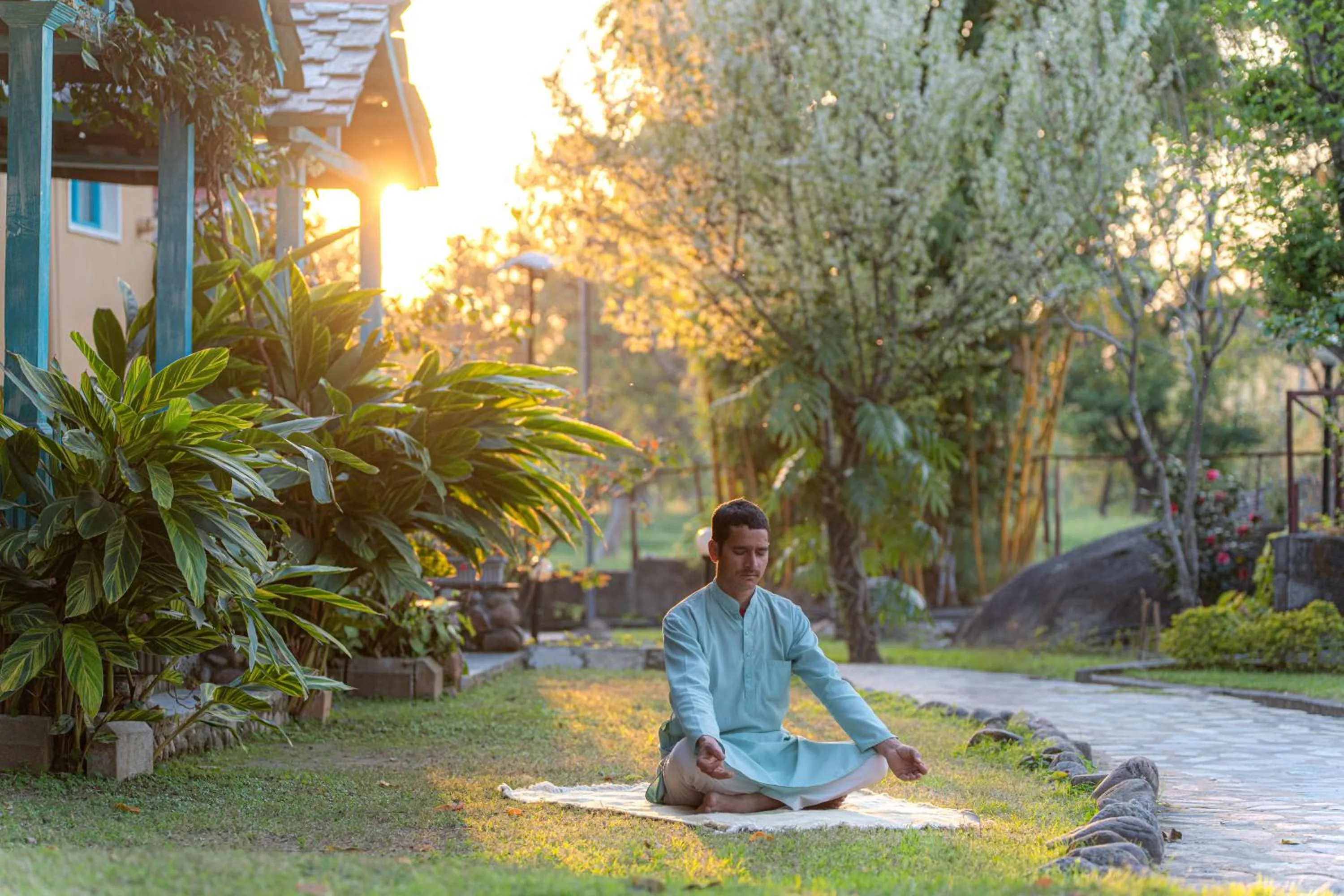 Activities in Tree of Life Birdsong Chalets , Dharamshala