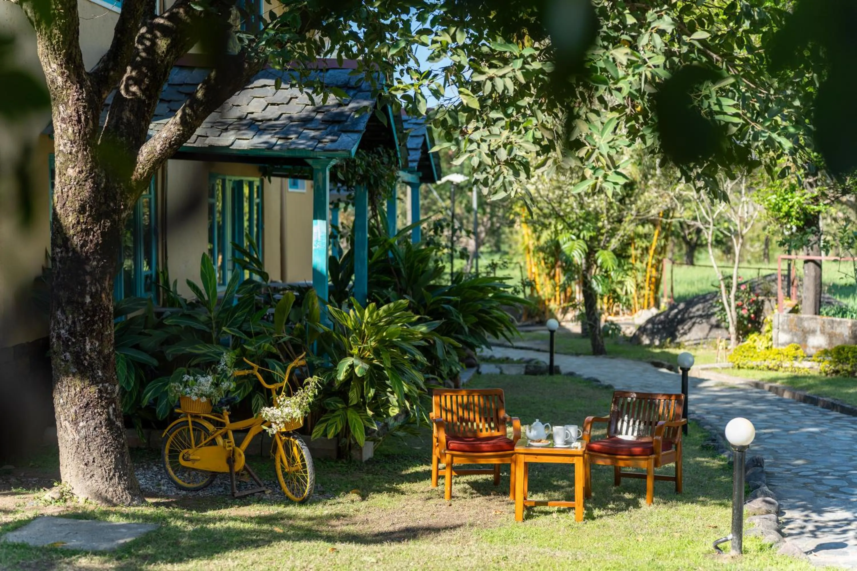 Activities in Tree of Life Birdsong Chalets , Dharamshala