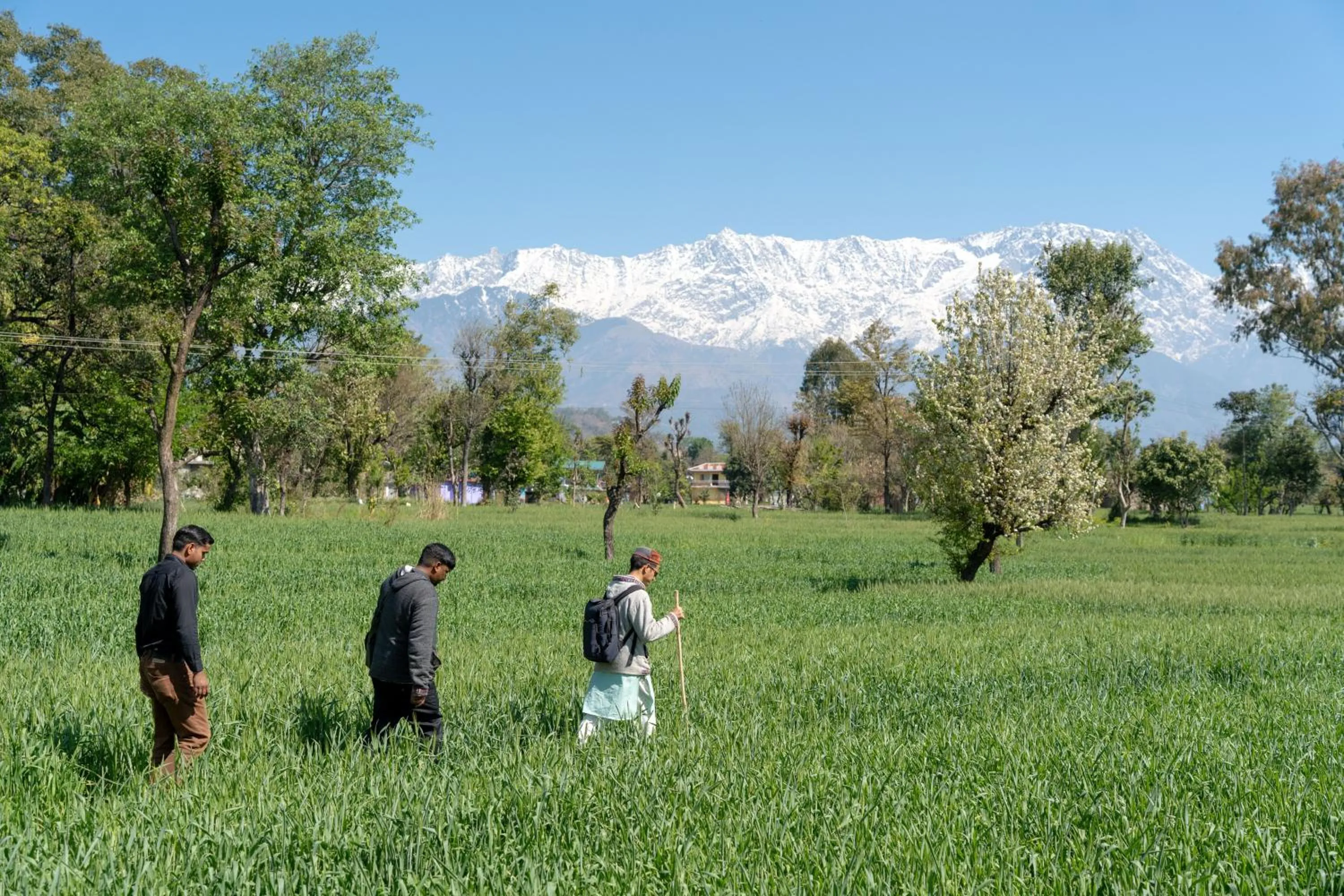 Activities in Tree of Life Birdsong Chalets , Dharamshala