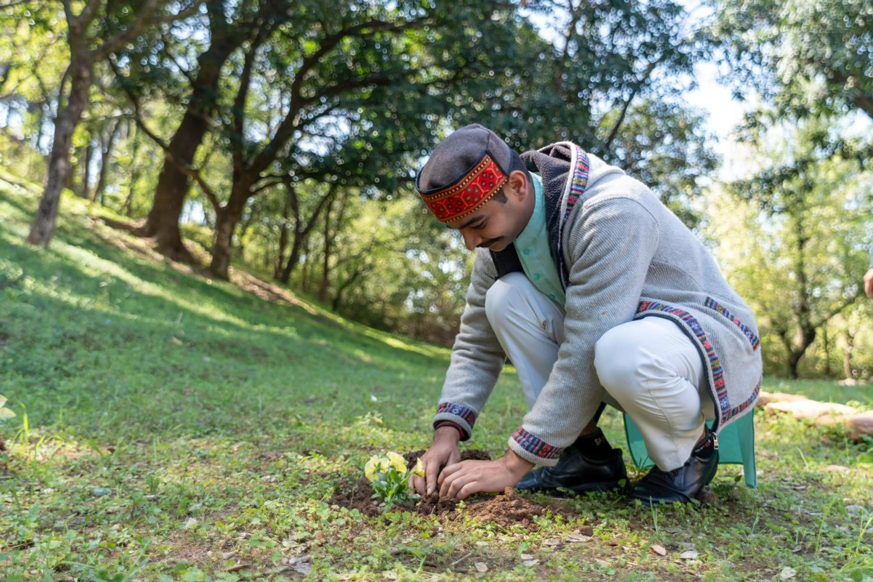 Activities in Tree of Life Birdsong Chalets , Dharamshala
