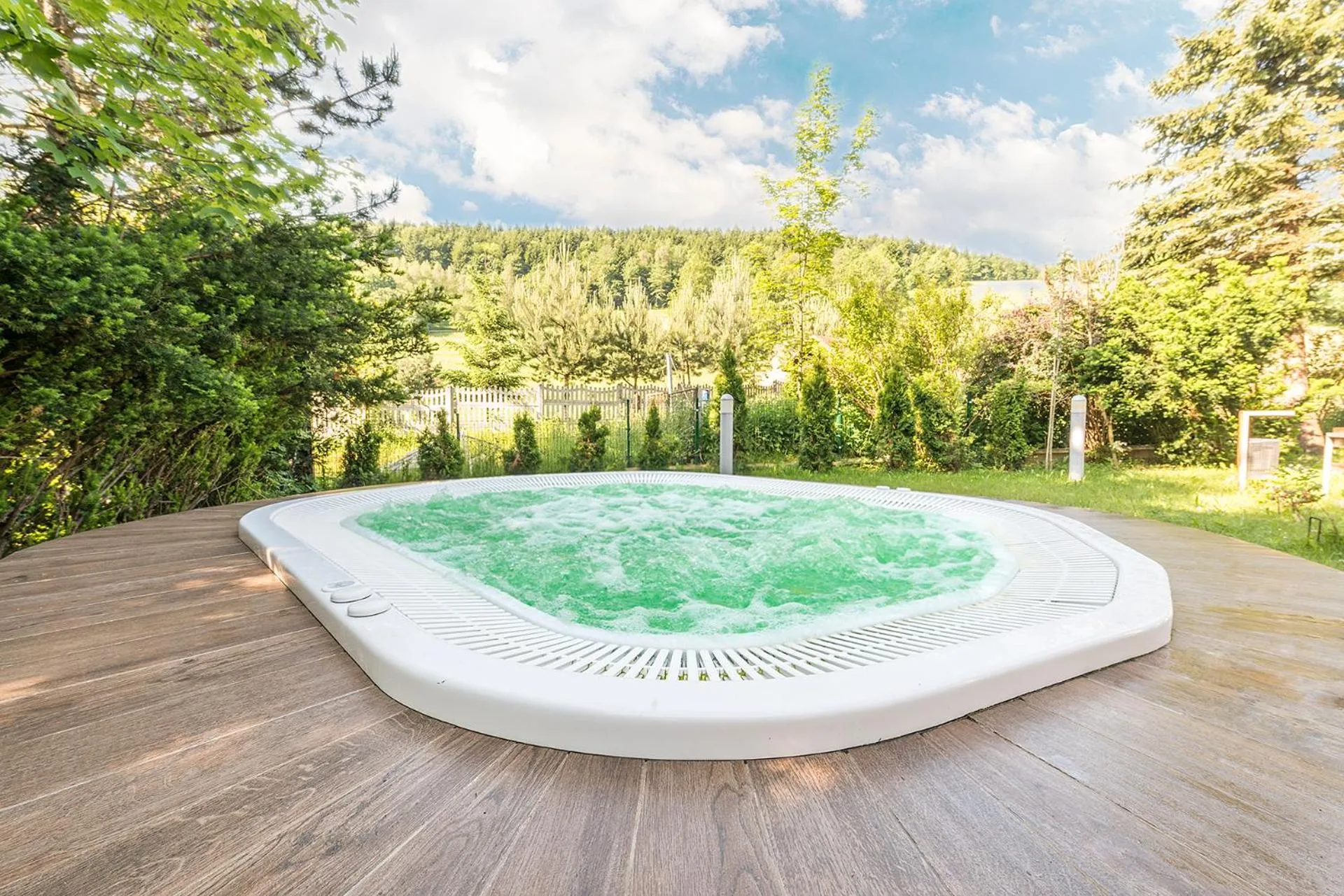 Swimming pool in Hotel Olivia Medical SPA