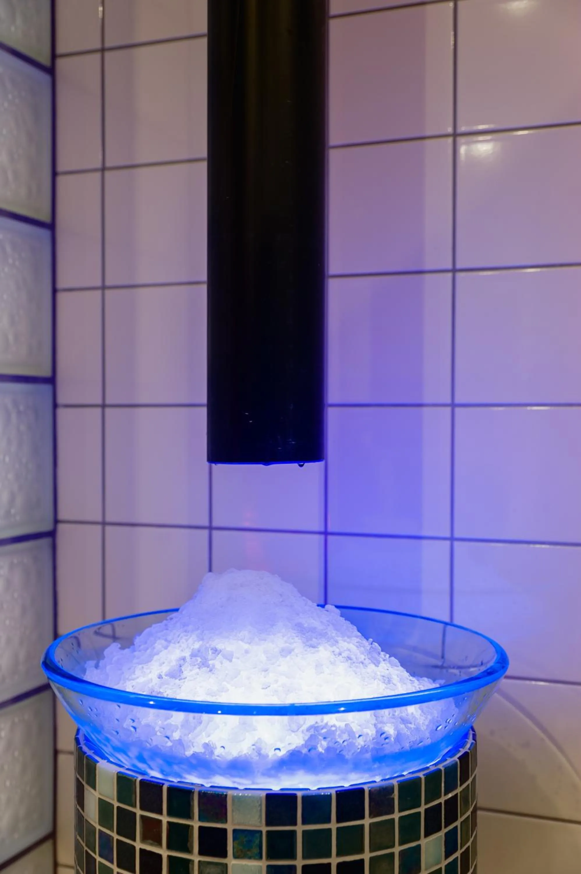 Swimming pool in Hotel Olivia Medical SPA