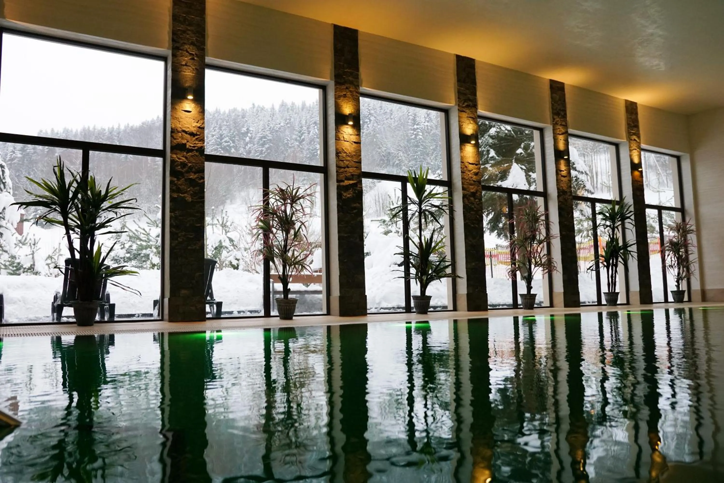 Swimming pool in Hotel Olivia Medical SPA