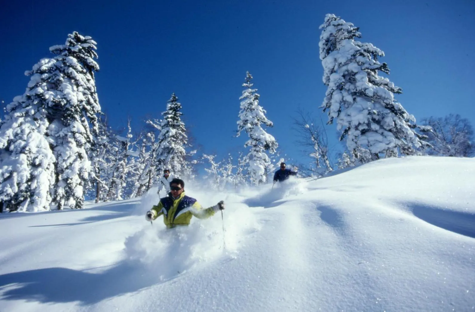 Skiing in Lakehouse At Toyako