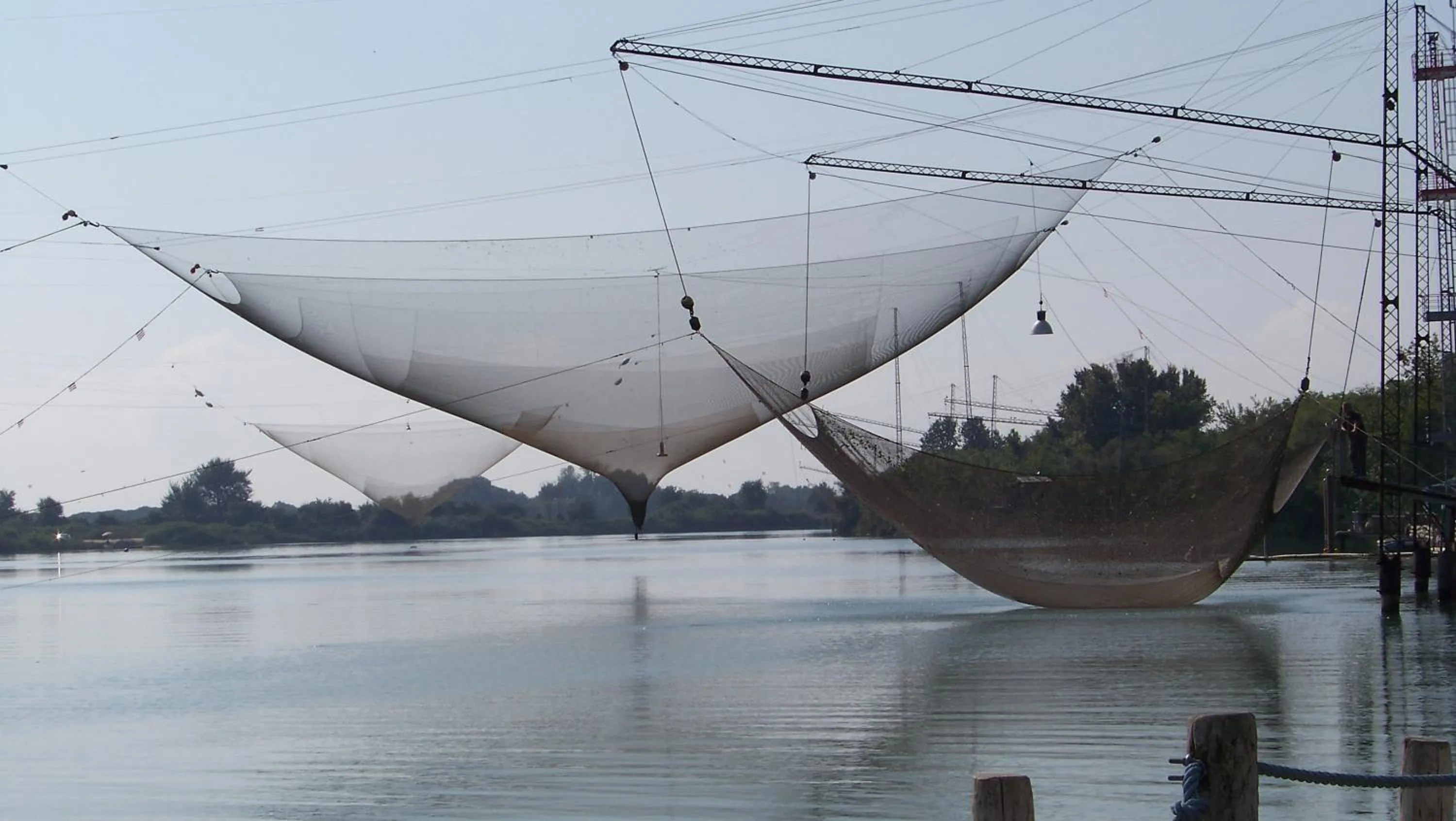 Other in Hotel Picobello Pineta