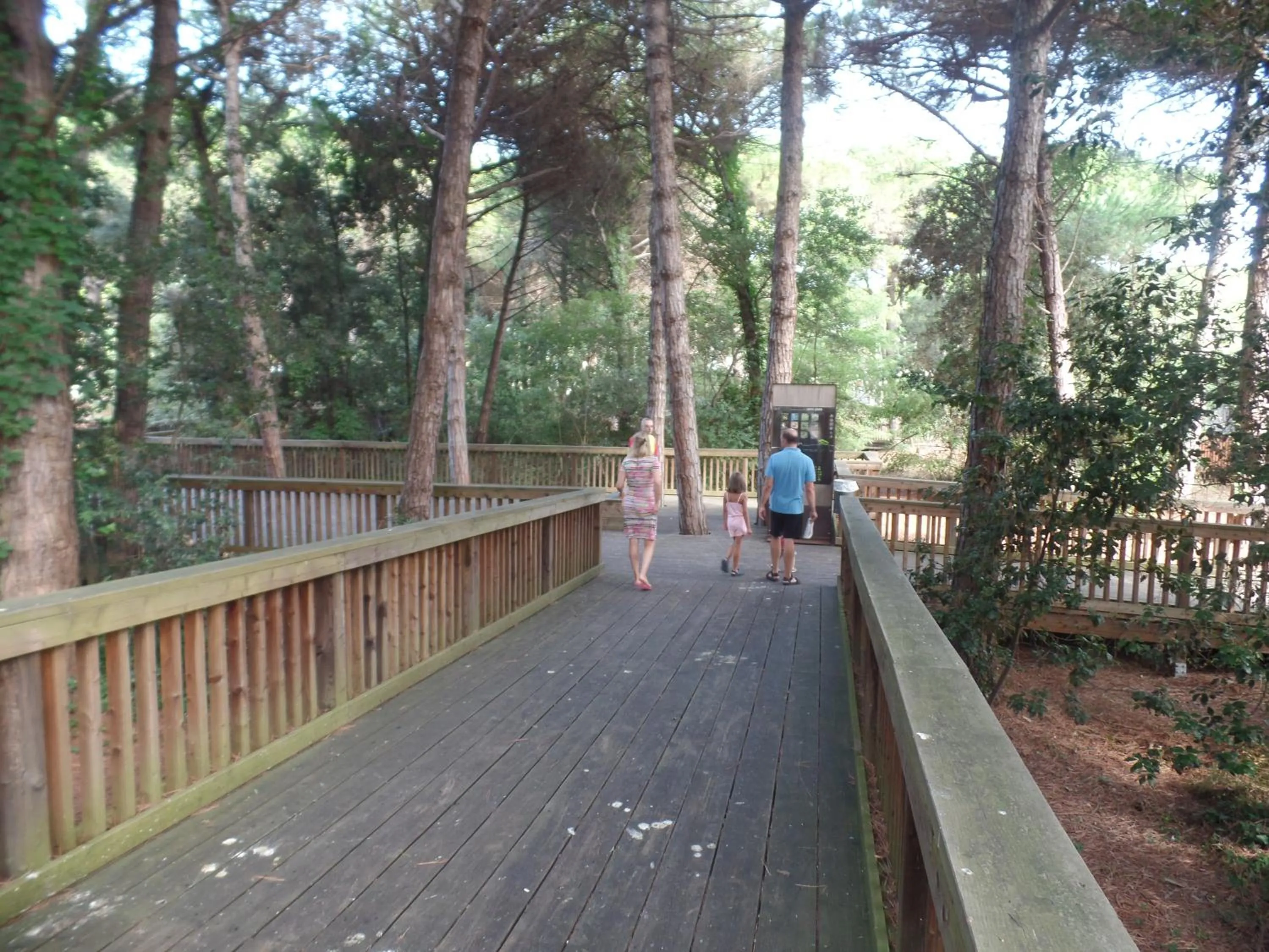 Day in Hotel Picobello Pineta