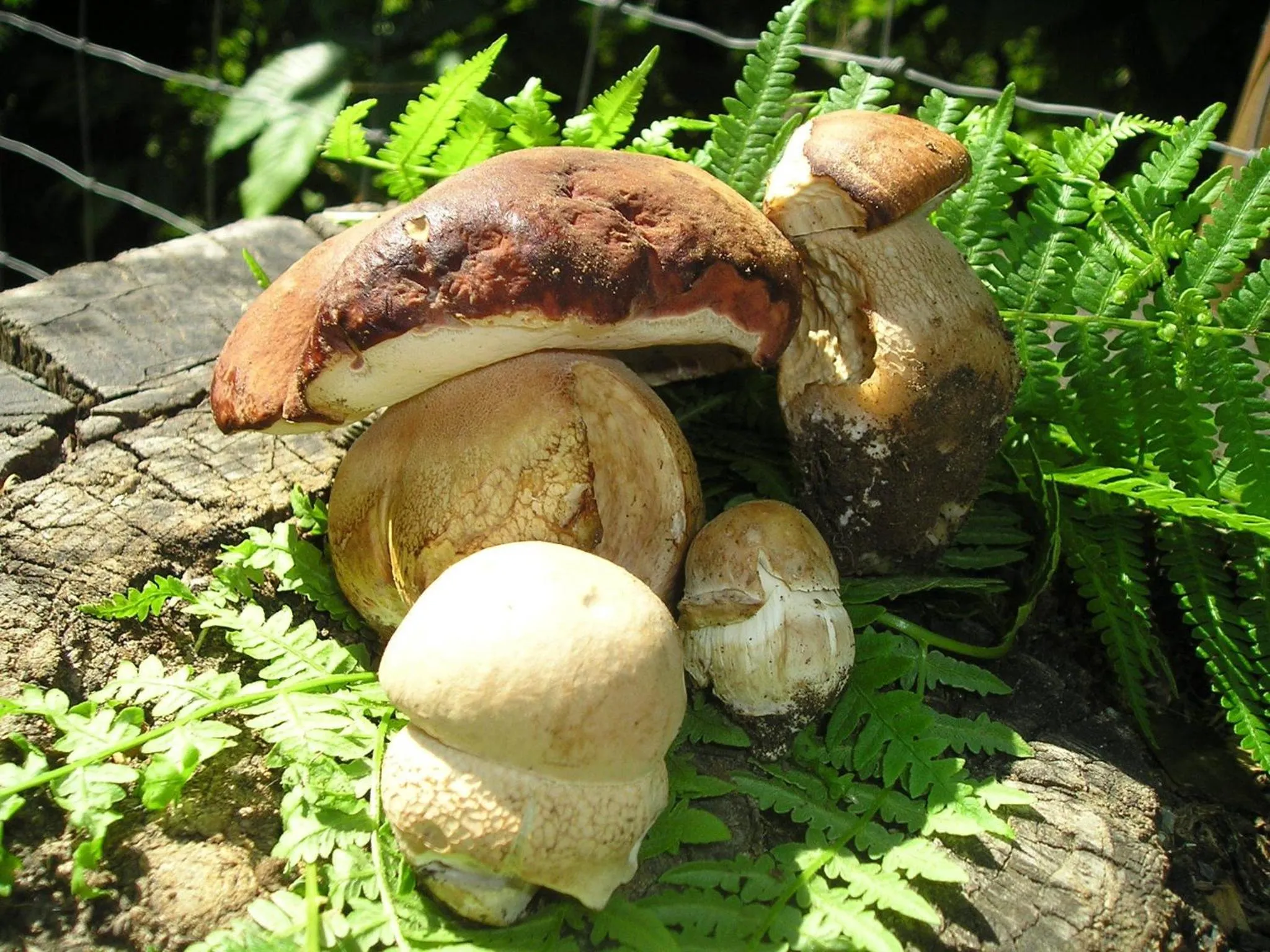 Hiking in Il Podere Di Giada