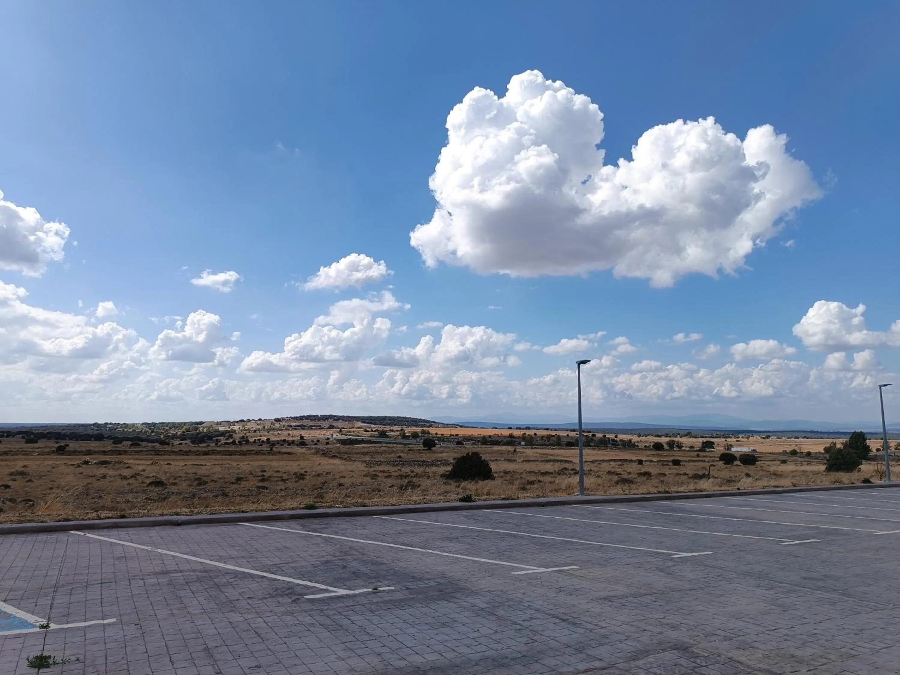 Garden view in Motel 112