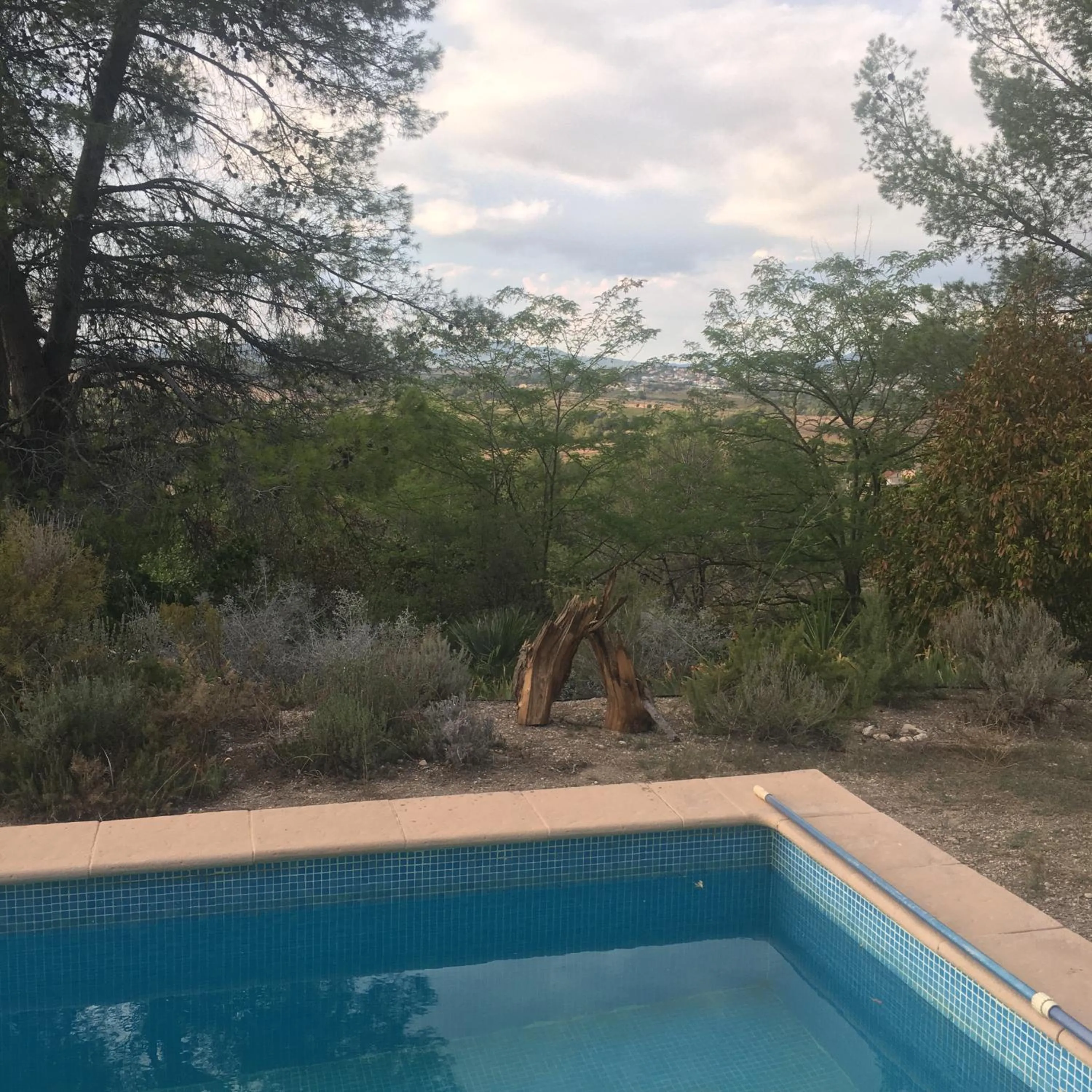 Swimming pool in Vi l'Art Wine Lodge - Only Adults