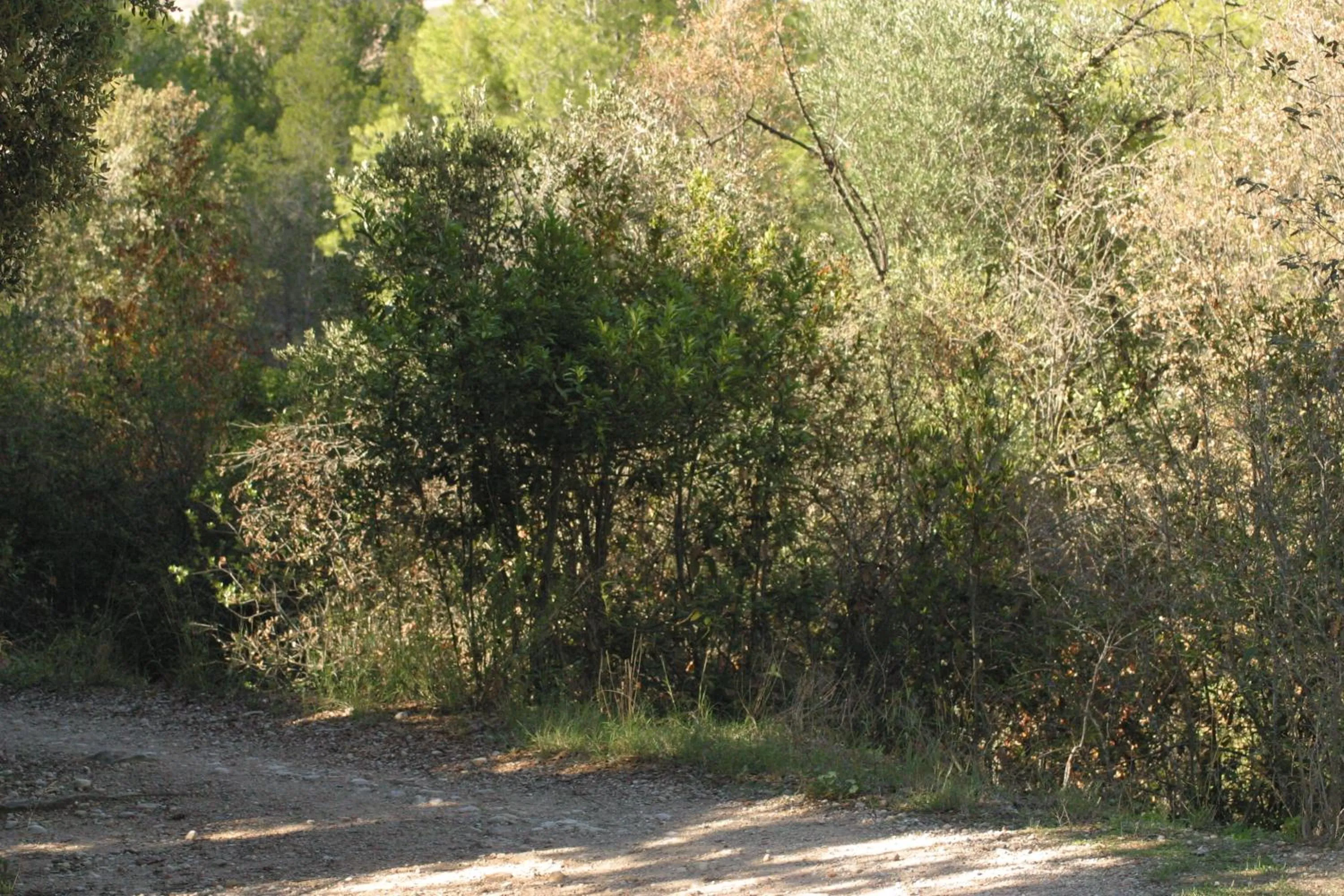 Natural landscape in Vi l'Art Wine Lodge - Only Adults