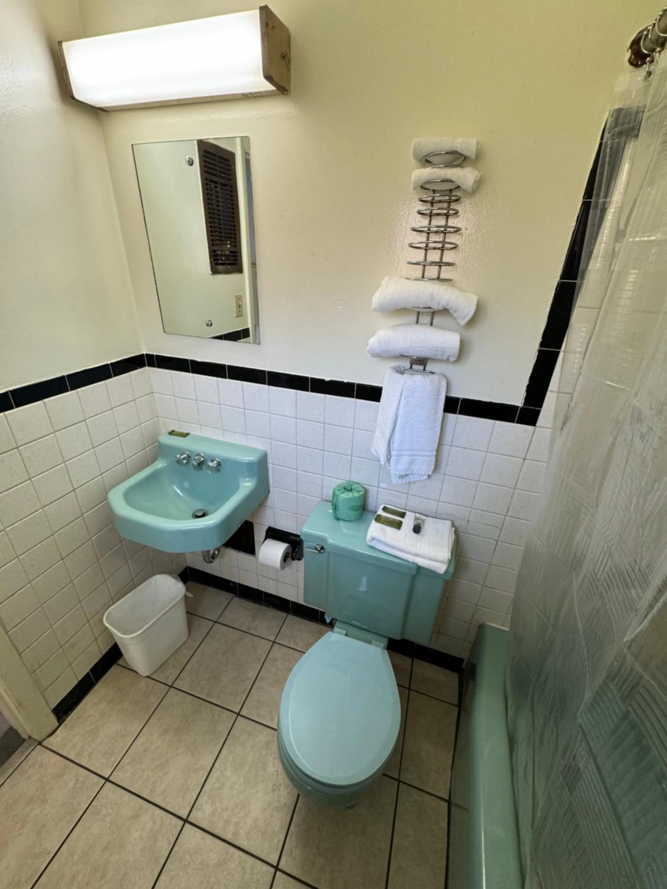 Shower in Acorn Motel