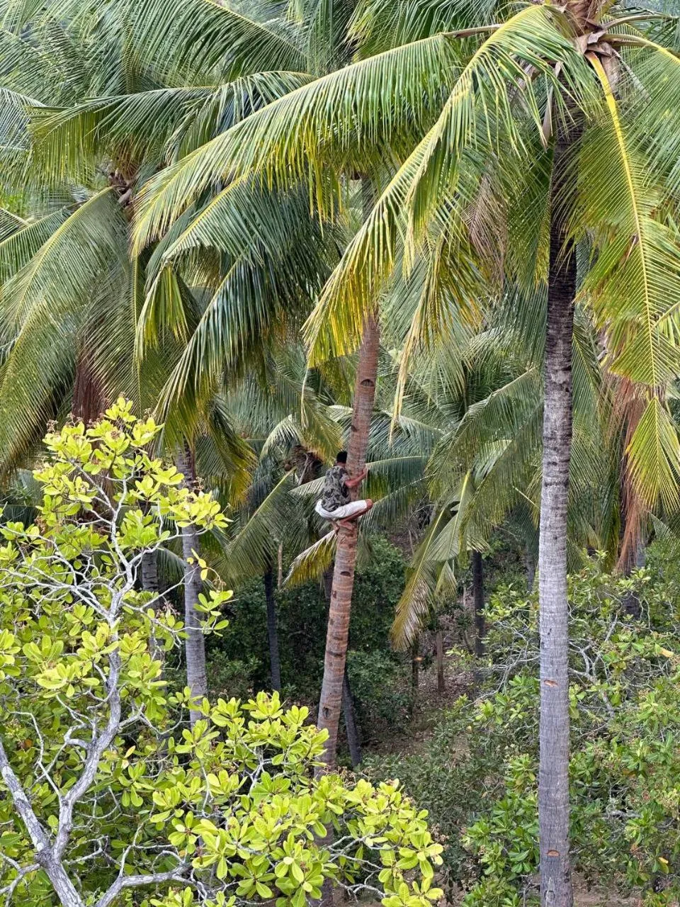 Natural landscape in Rangsot INN