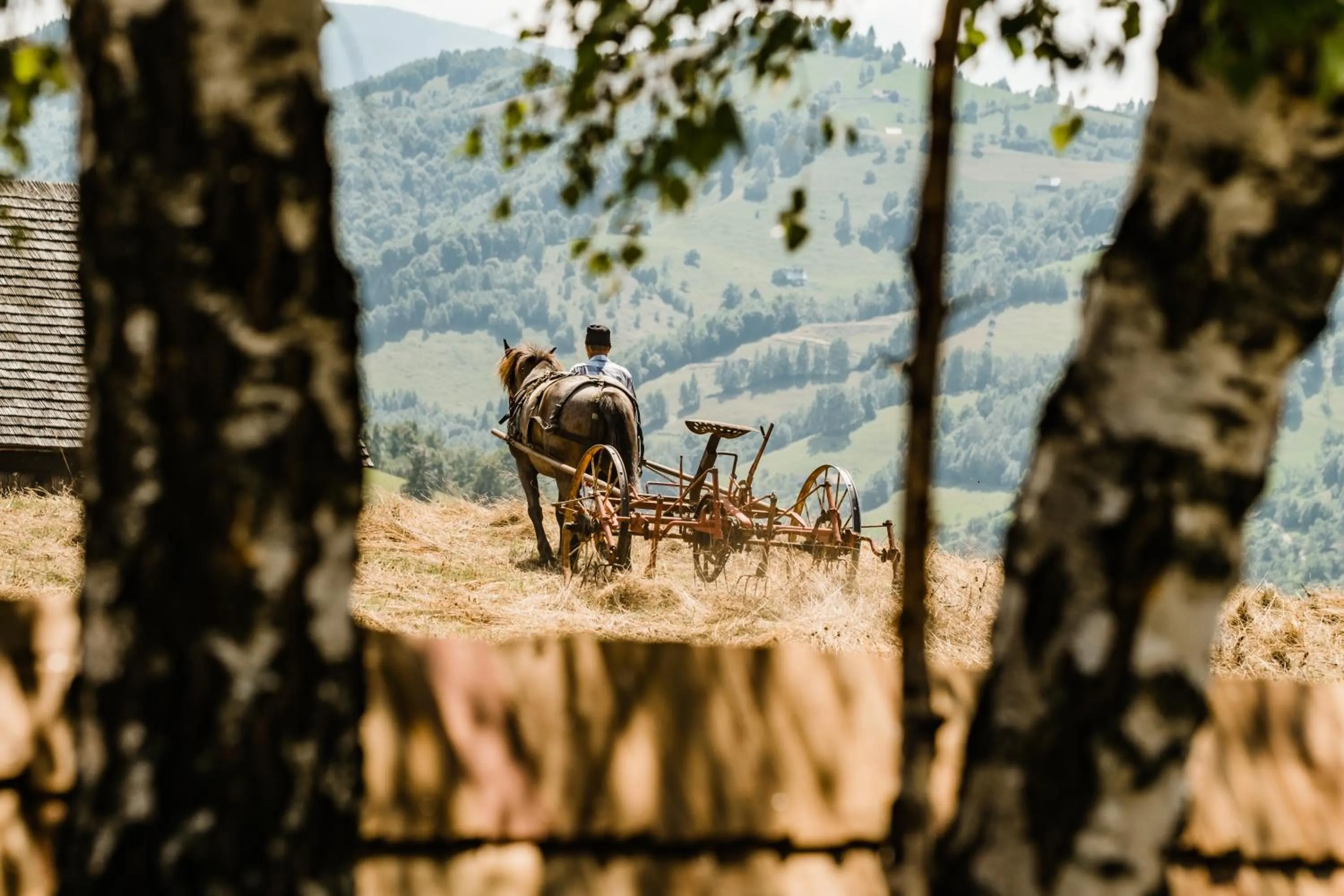 Text overlay in Matca Hotel Relais & Châteaux