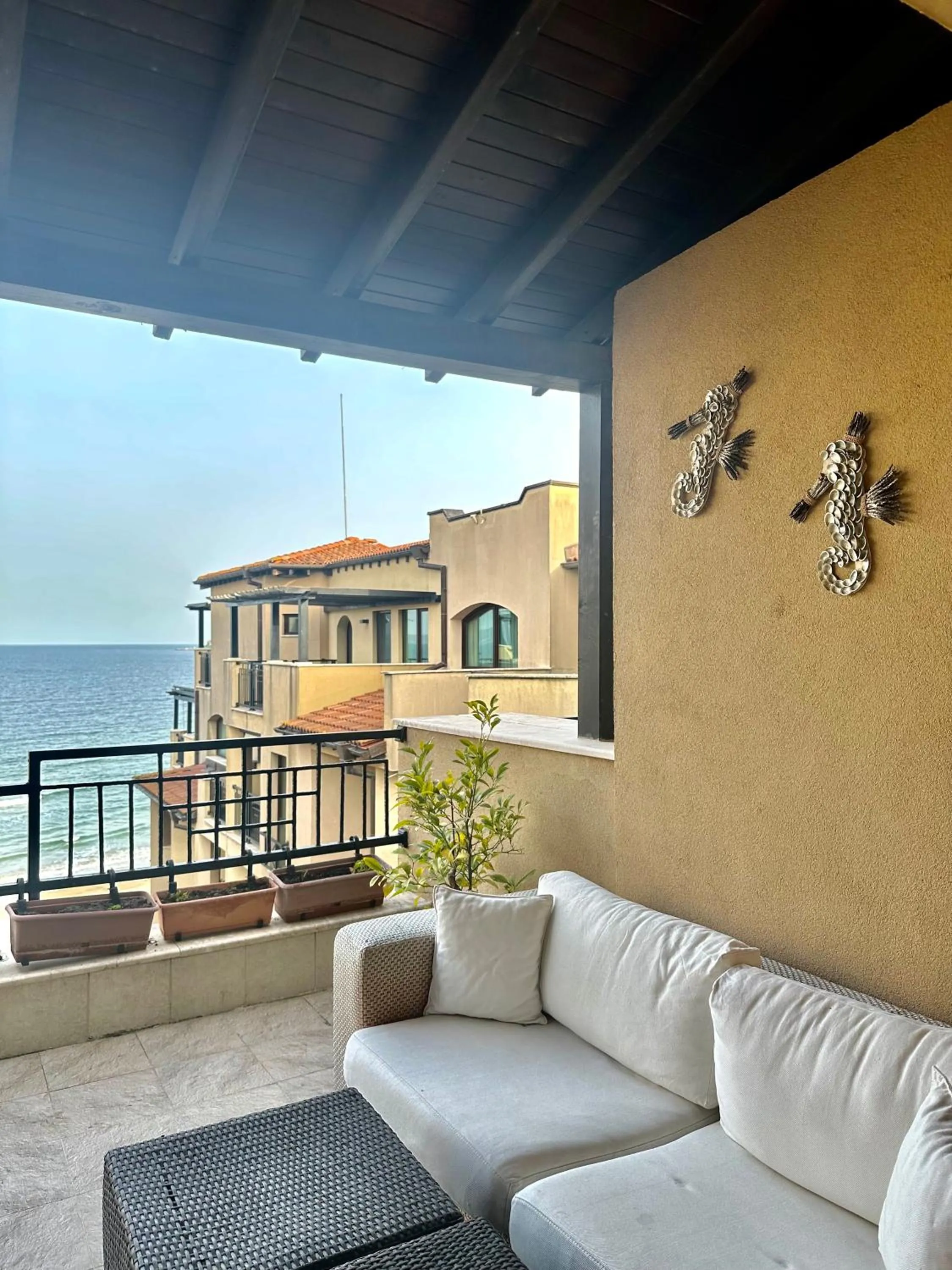 Summer in Oazis VIP Club