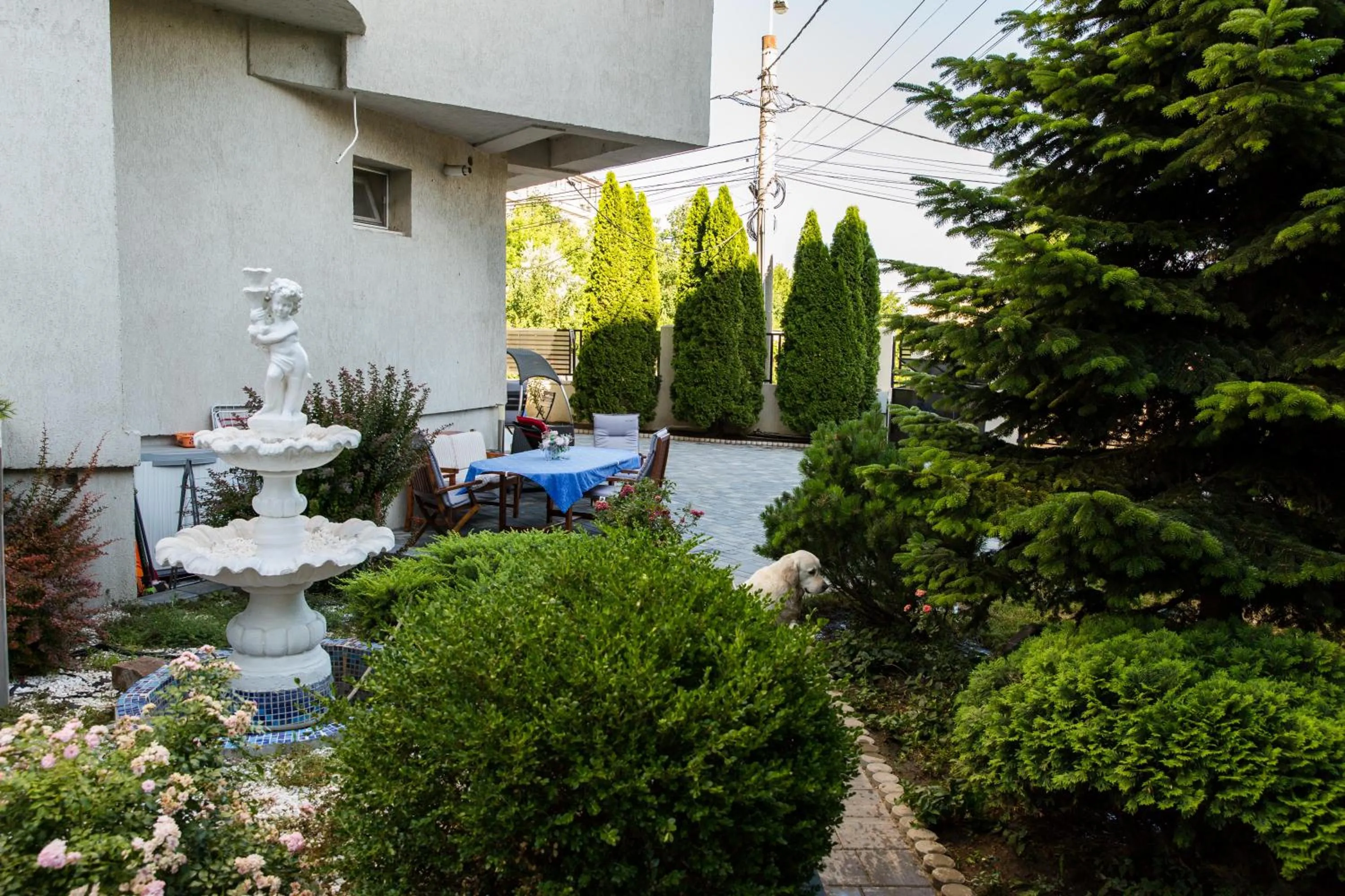 Garden in Hotel Jolie Apartments