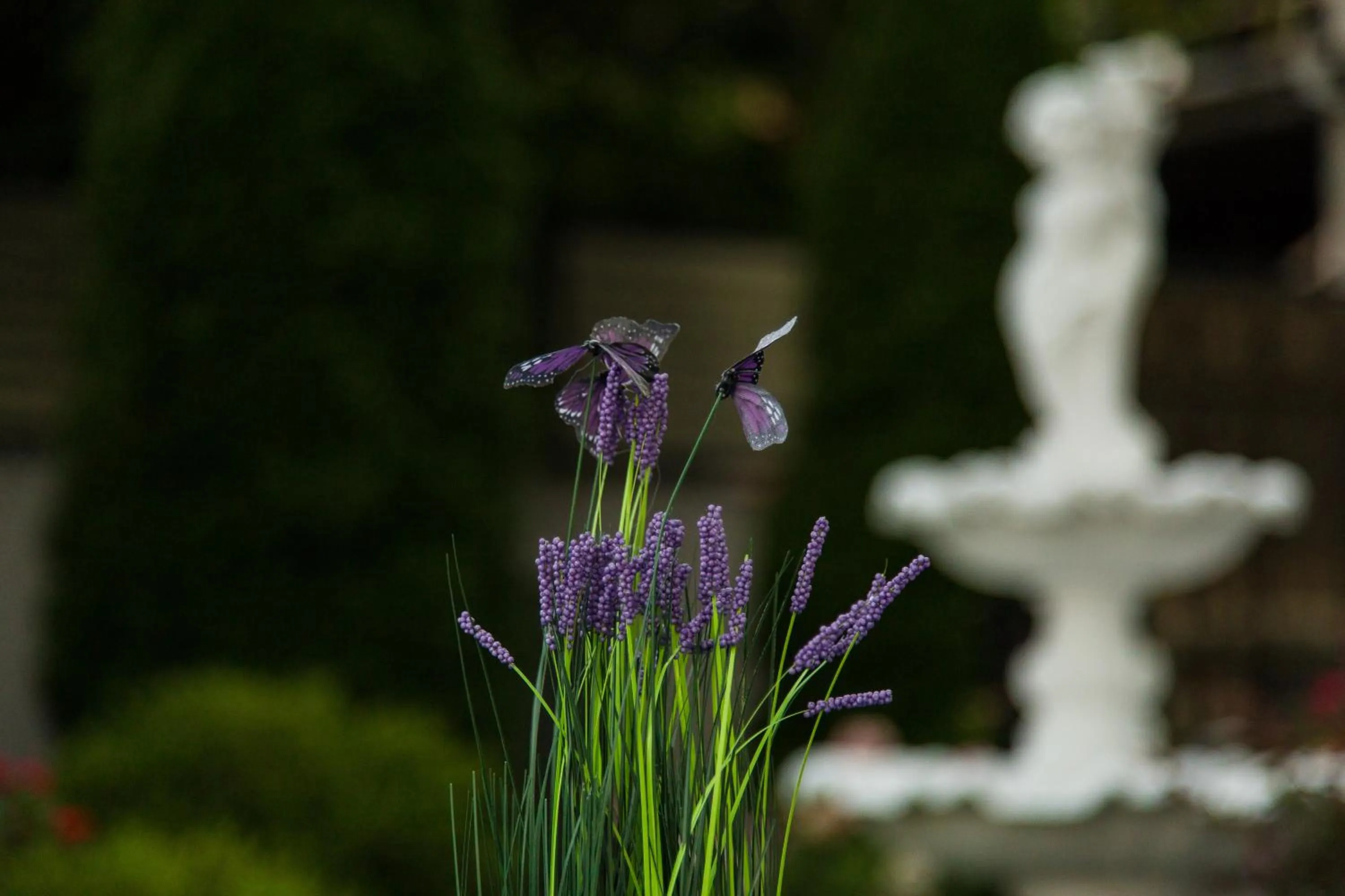 Garden in Hotel Jolie Apartments