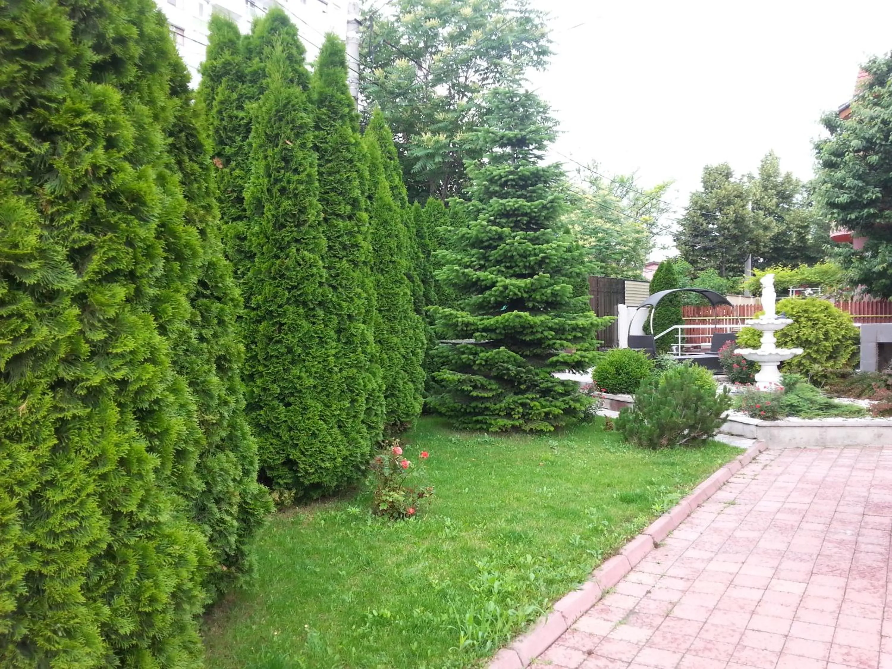 Garden in Hotel Jolie Apartments
