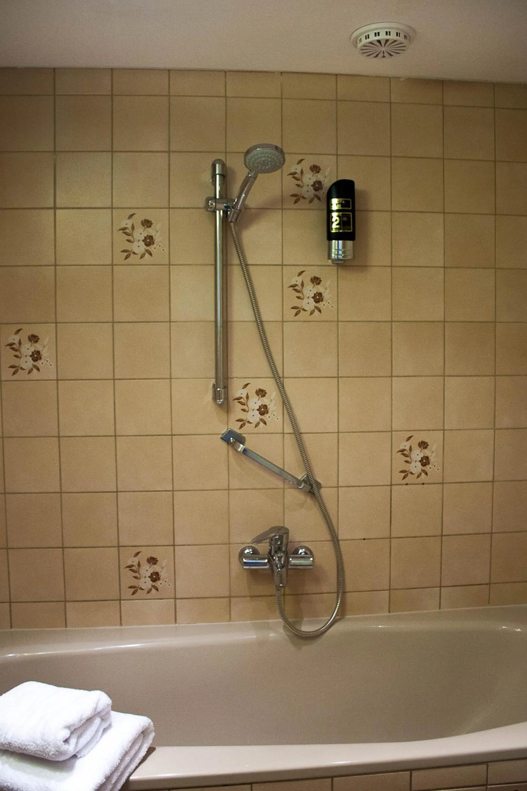 Bathroom in Hotel Lamerichs