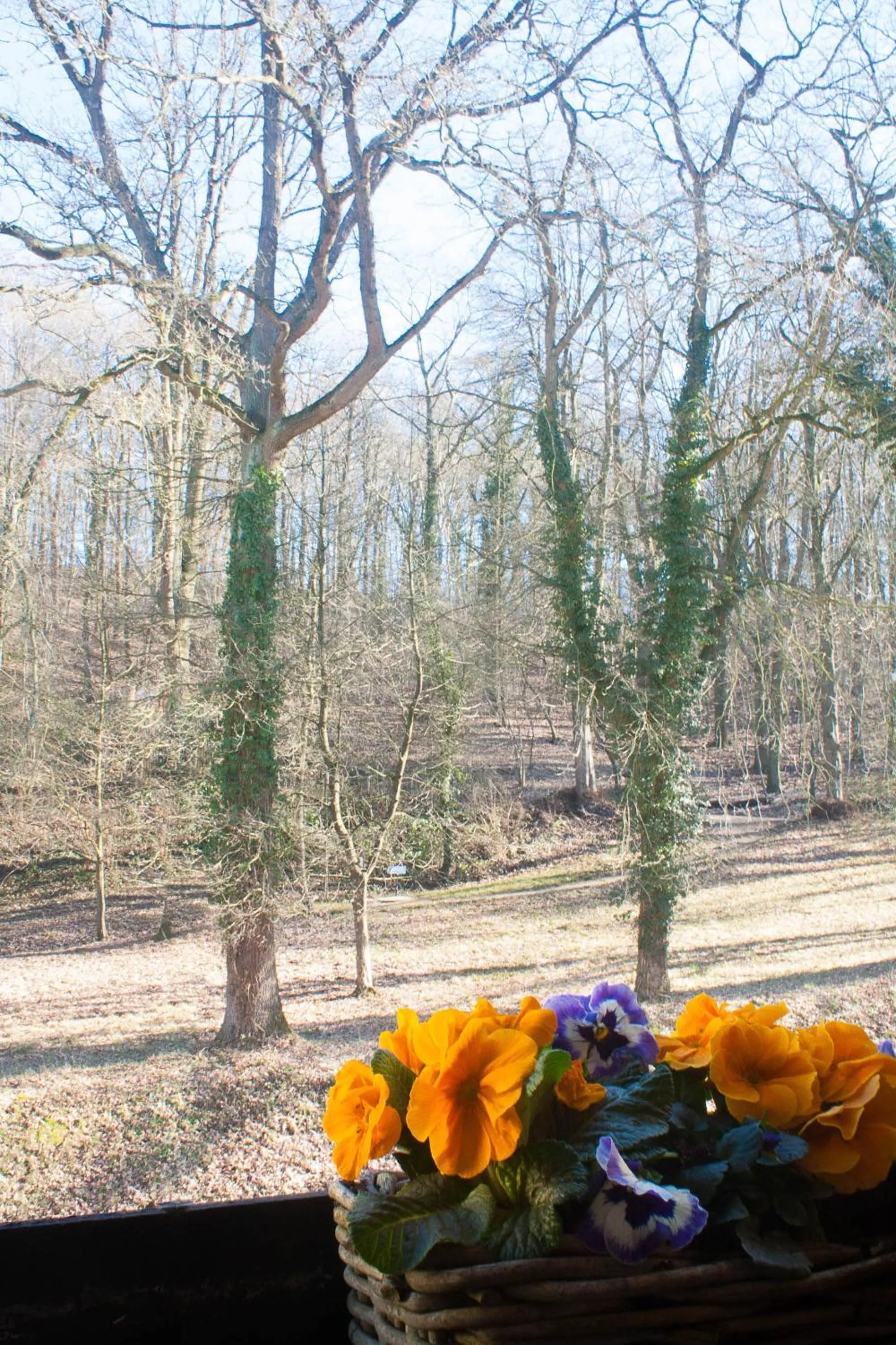 Street view in Hotel Lamerichs