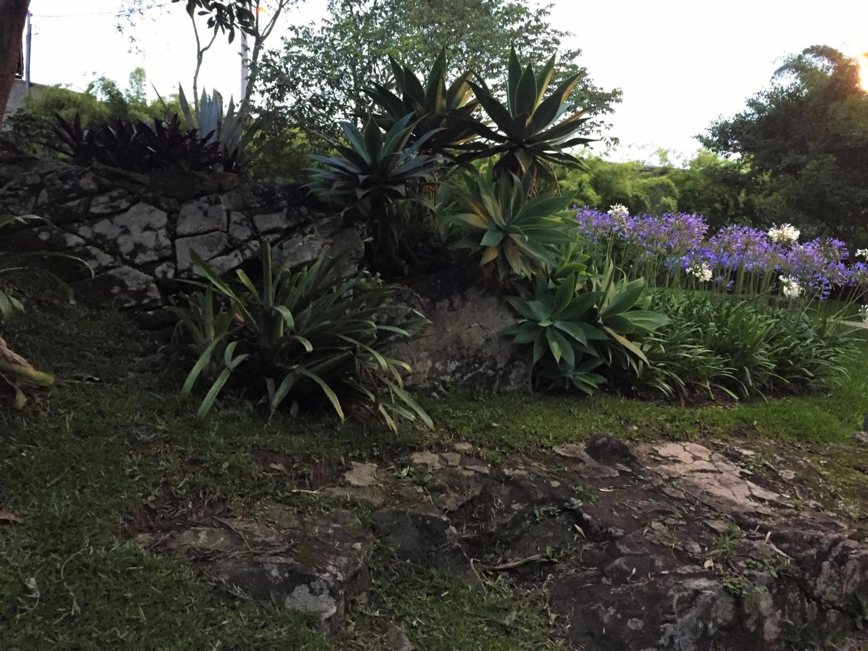 Garden view in Pousada Chão de Minas