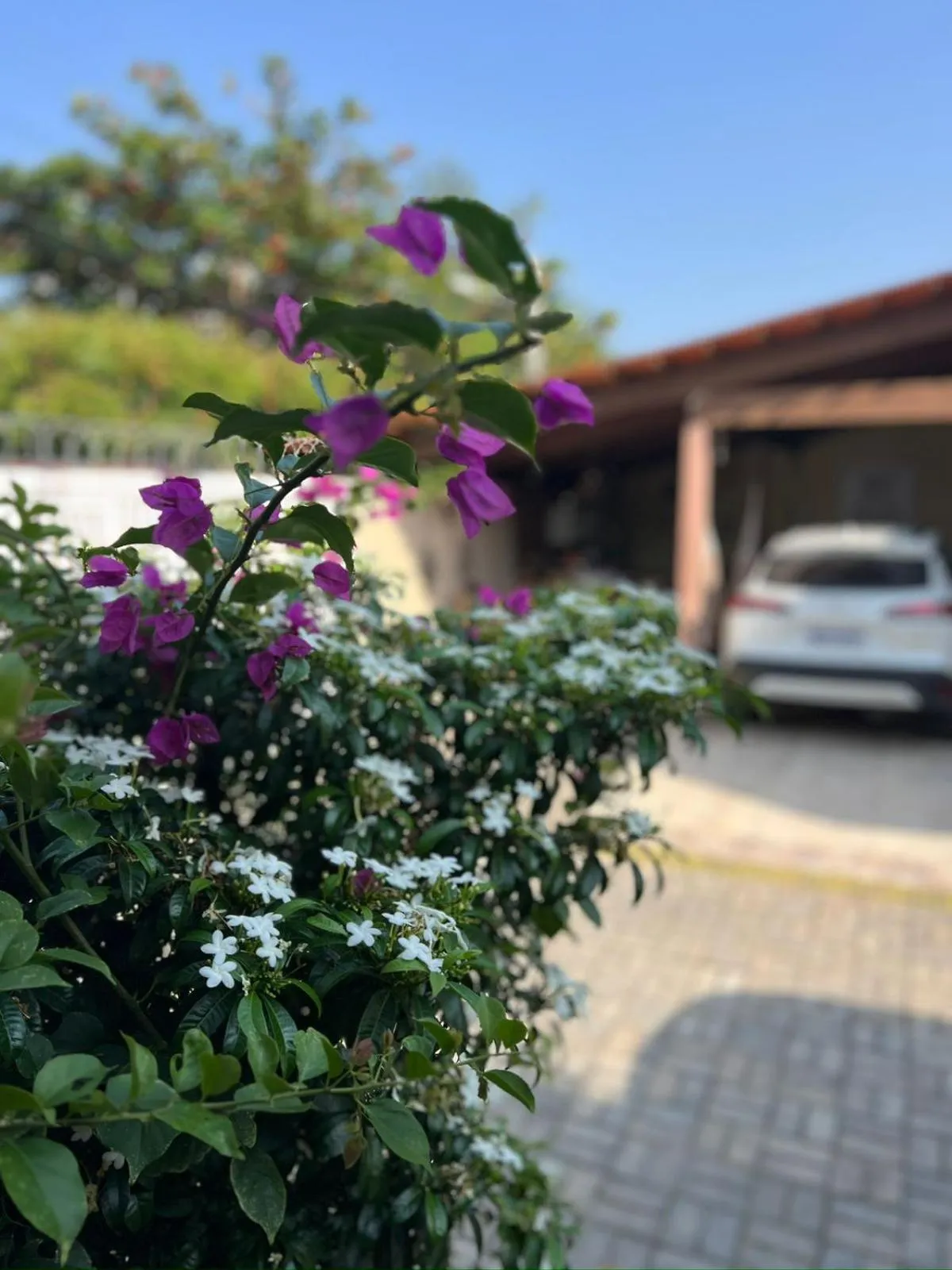 Parking in Pousada Flor Dália