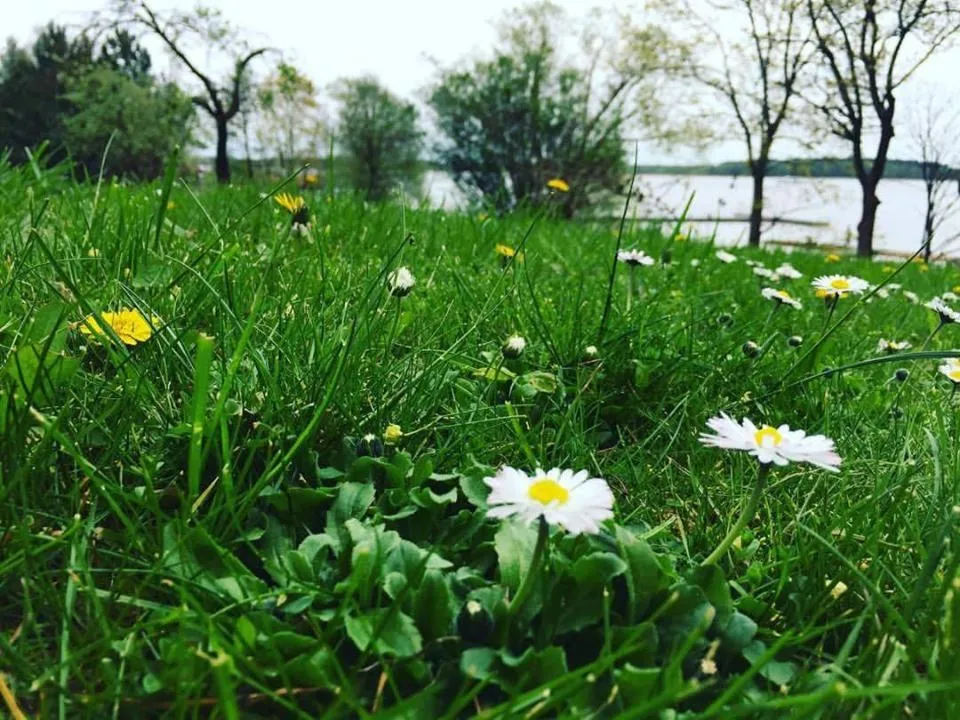 Garden in Gościniec Hetman