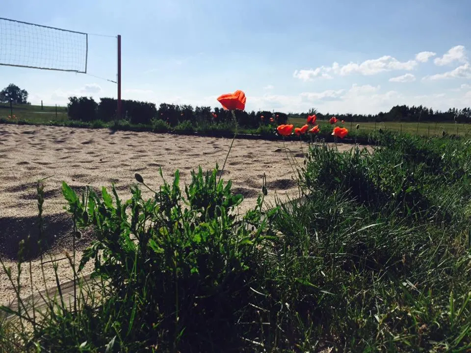 On site in Gościniec Hetman