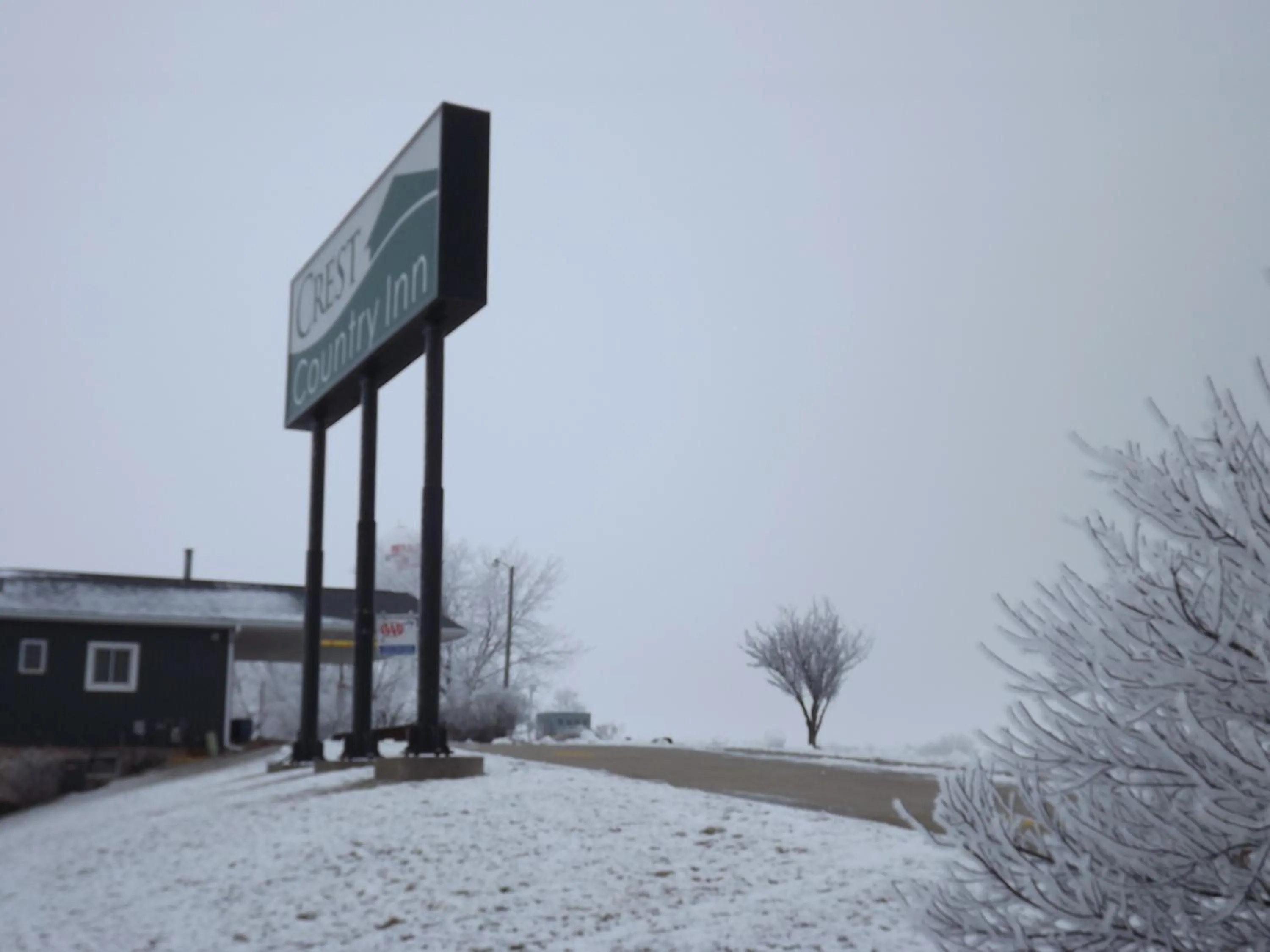 View (from property/room) in Crest Country Inn
