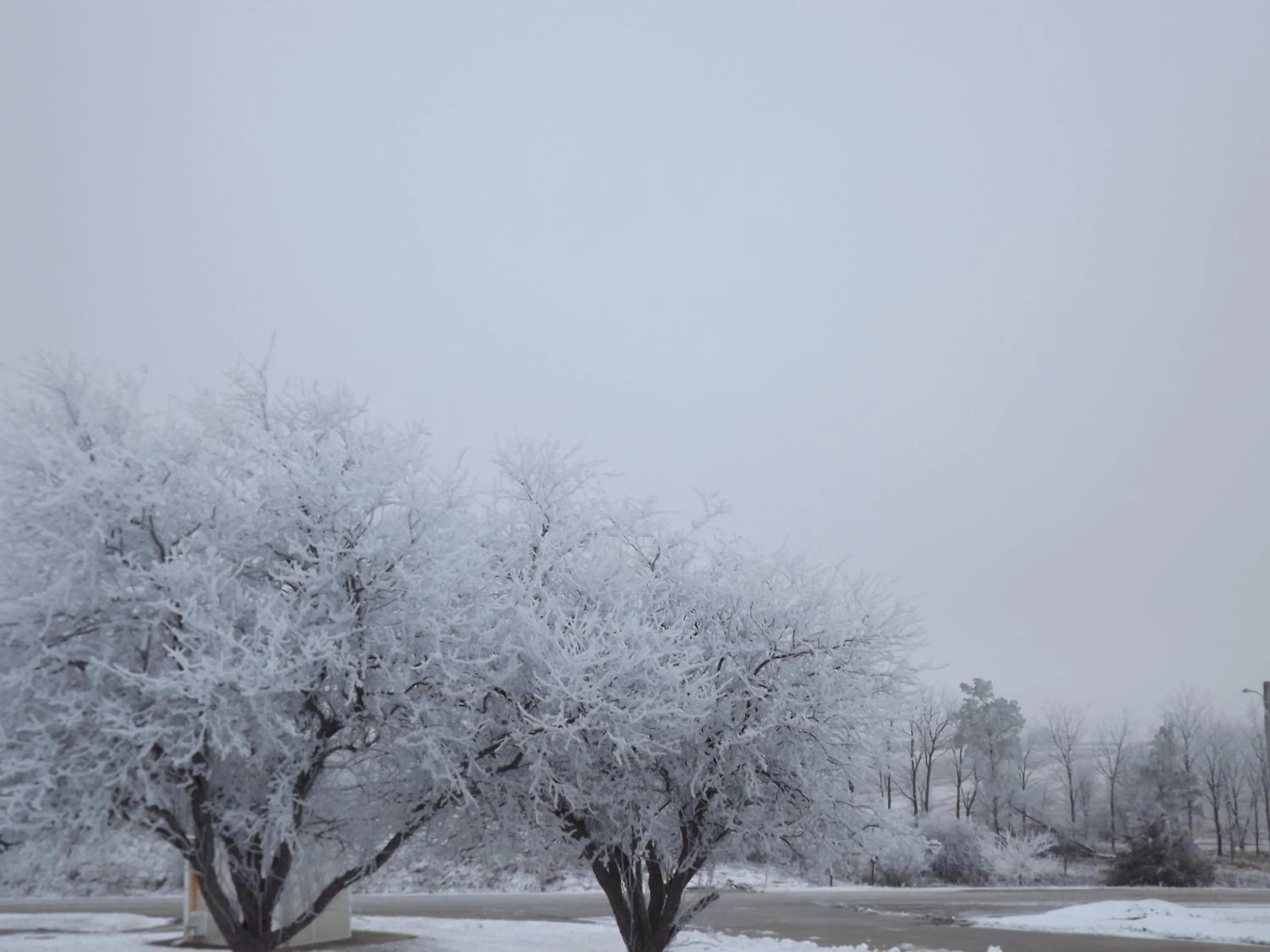 View (from property/room) in Crest Country Inn