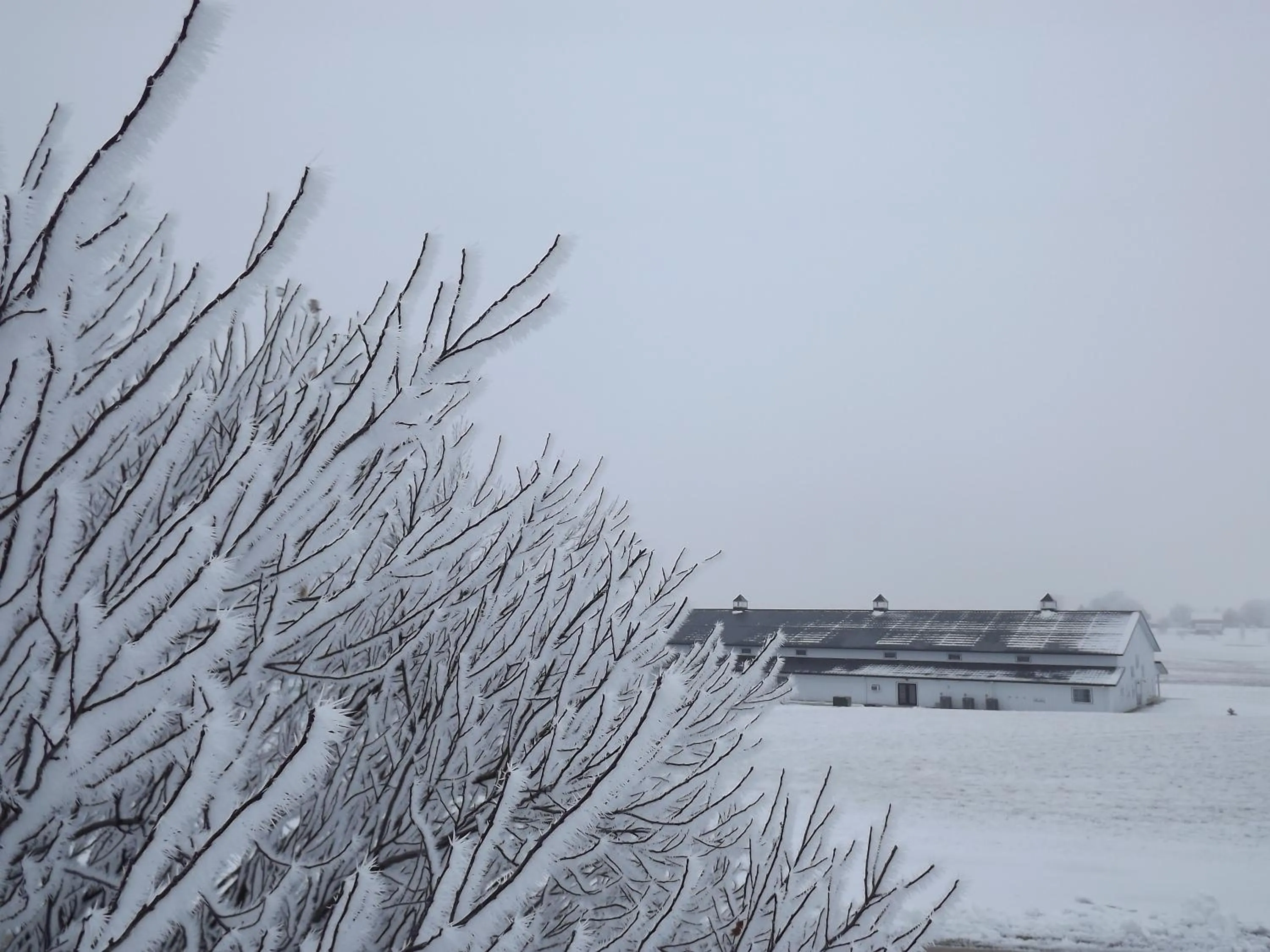View (from property/room) in Crest Country Inn