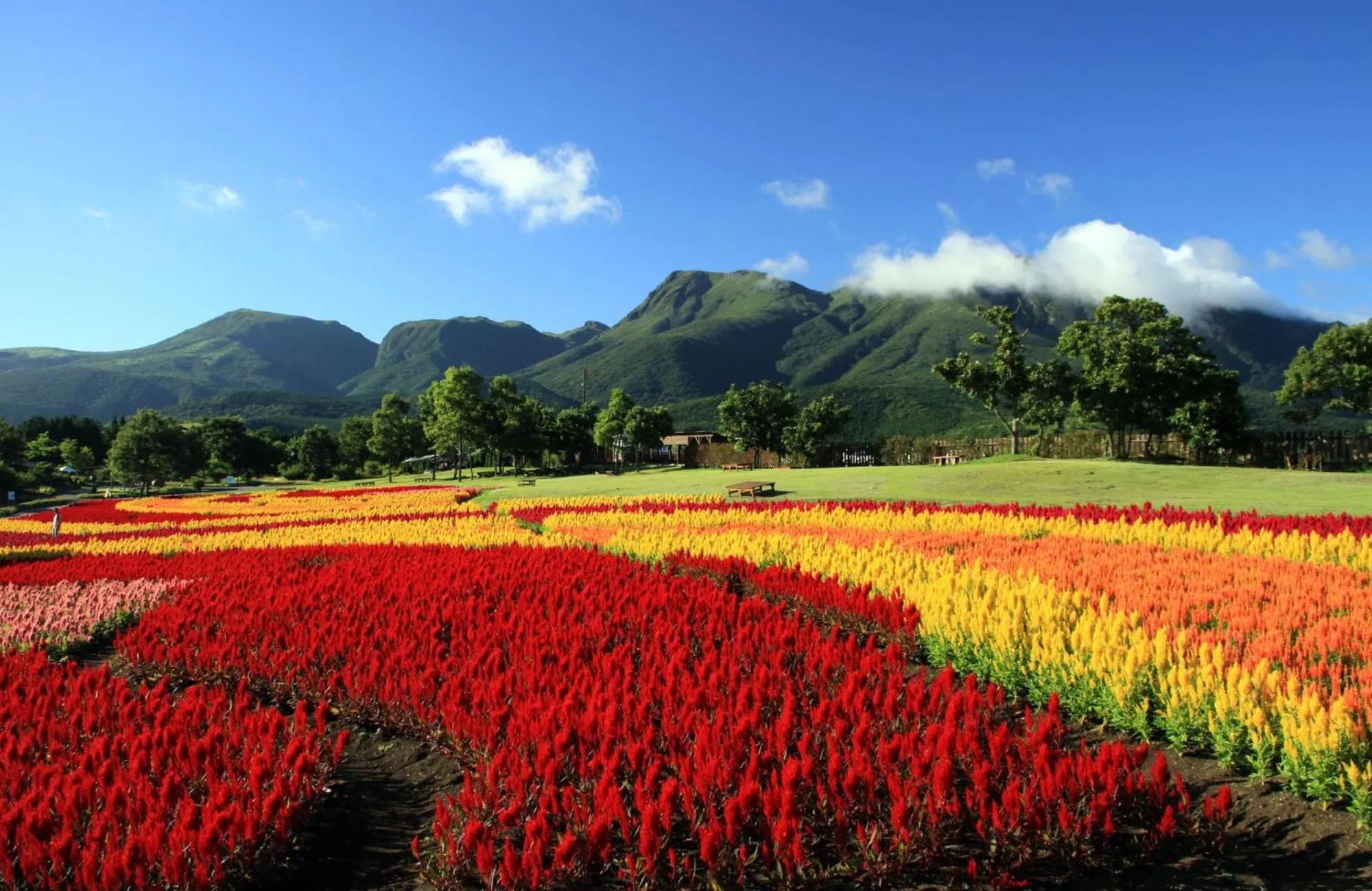 Nearby landmark in Kur Park Nagayu