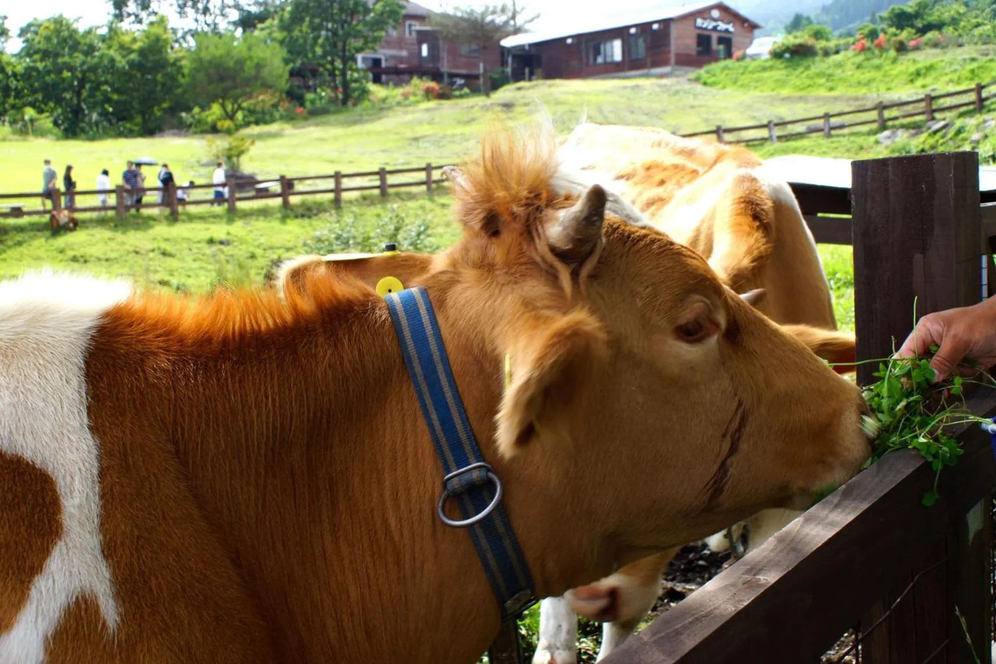 Nearby landmark in Kur Park Nagayu