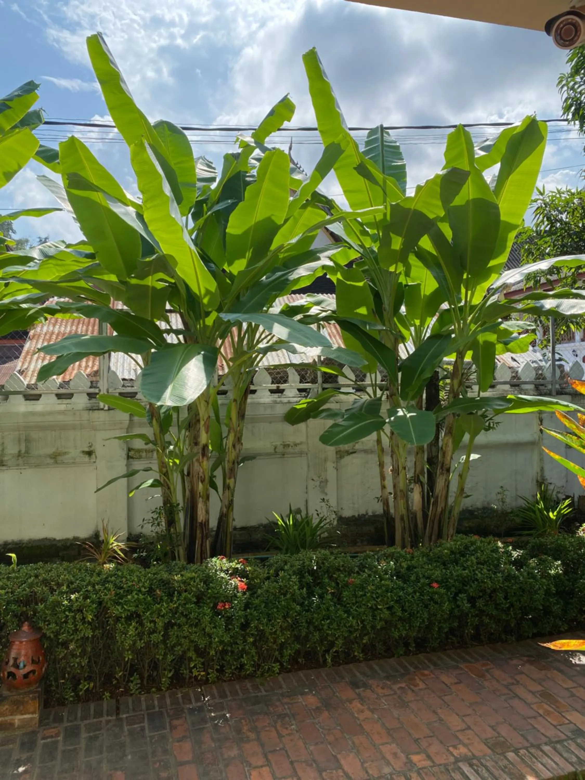 Garden view in Luang Prabang Residence & Travel
