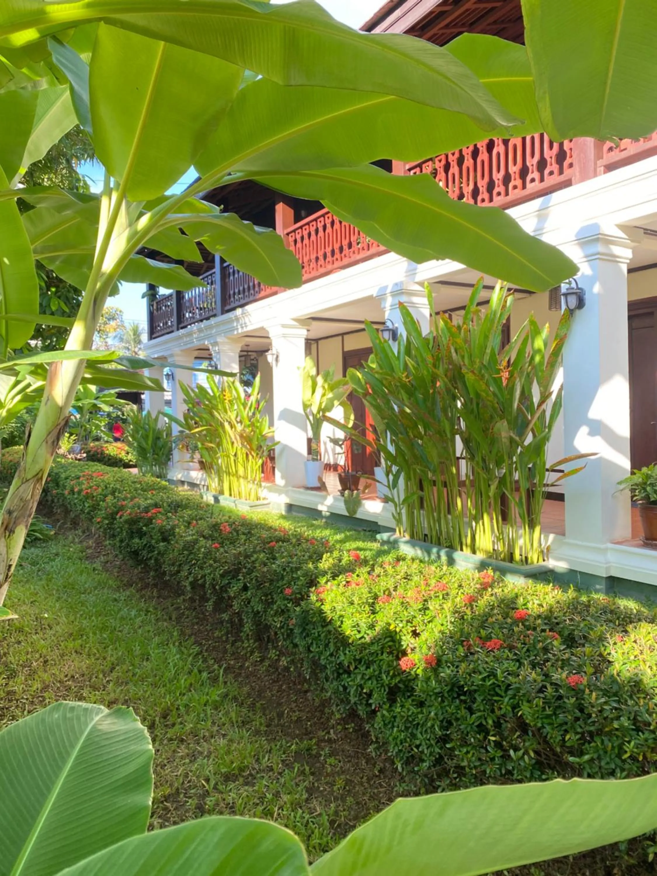 Garden in Luang Prabang Residence & Travel