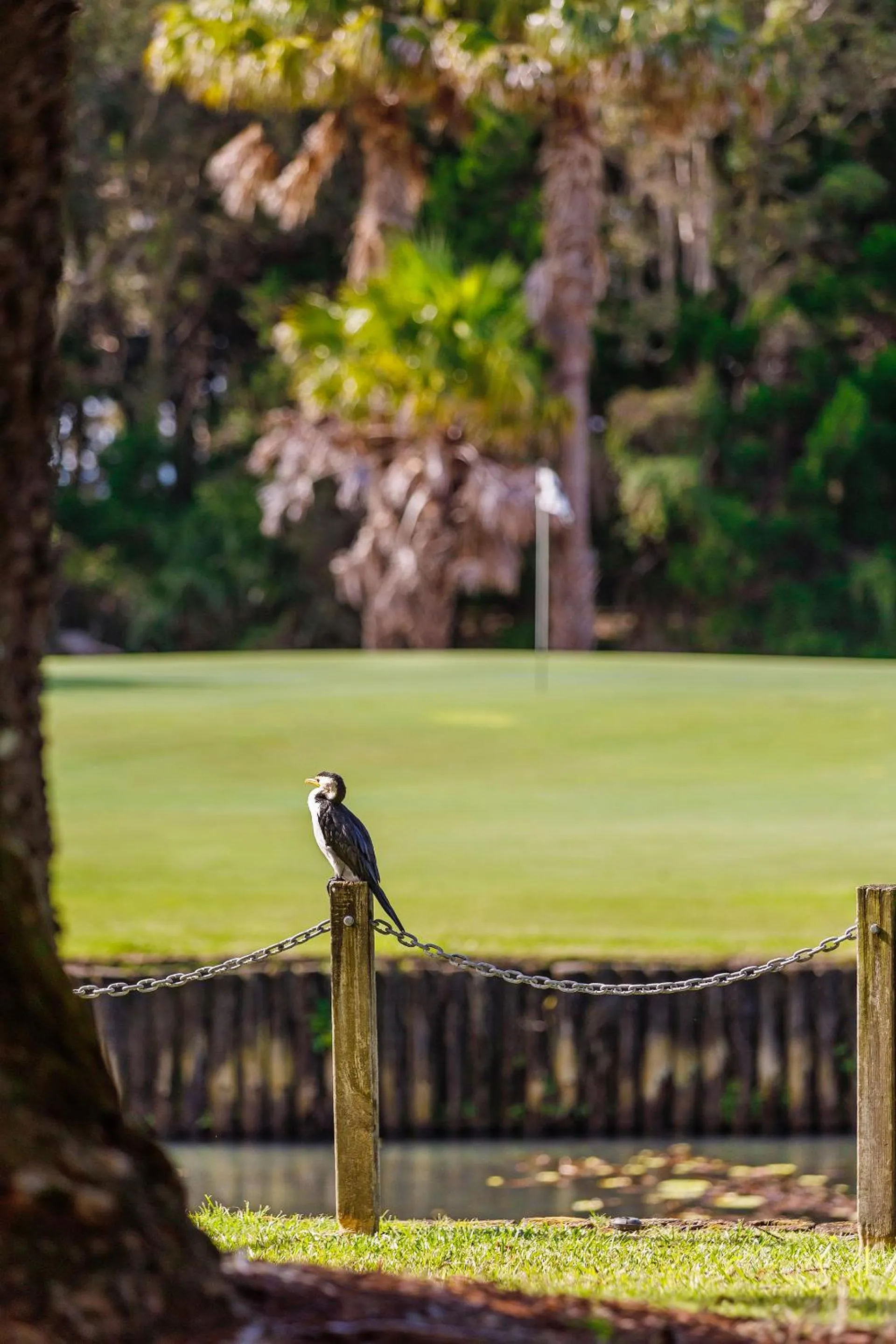 Club Wyndham Coffs Harbour Terraces