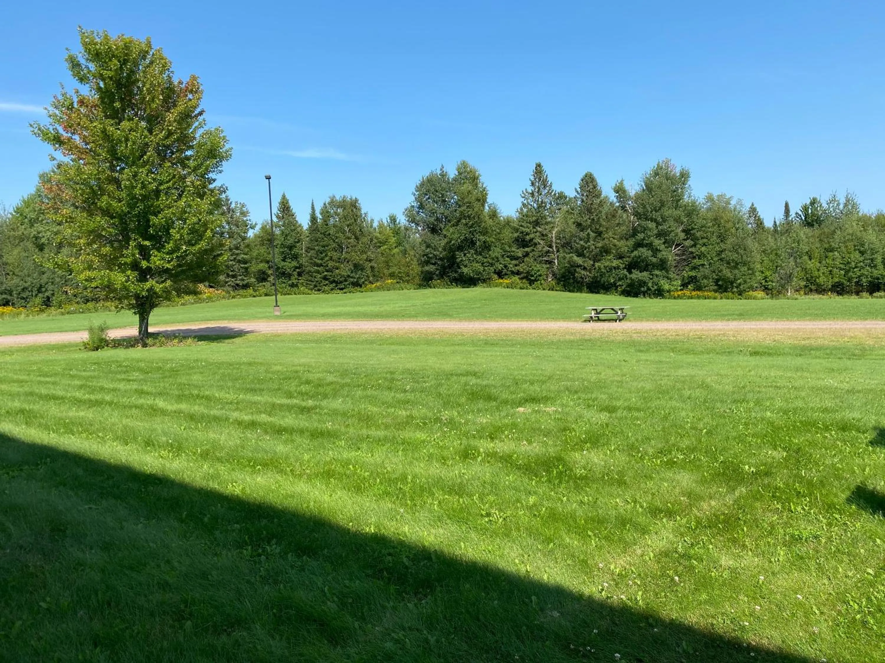 Garden view in AmeriVu Inn