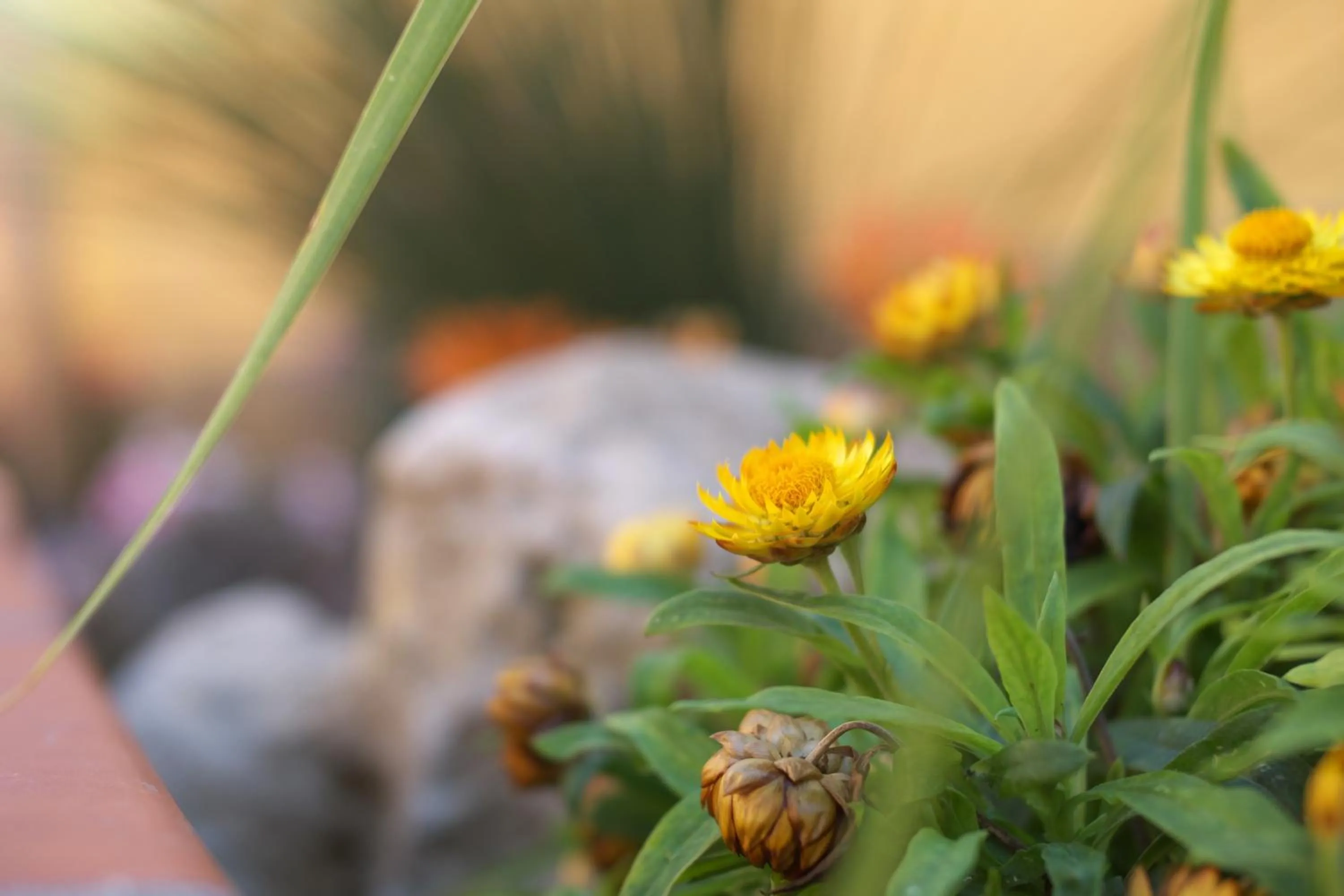 Other in Villa Concordia
