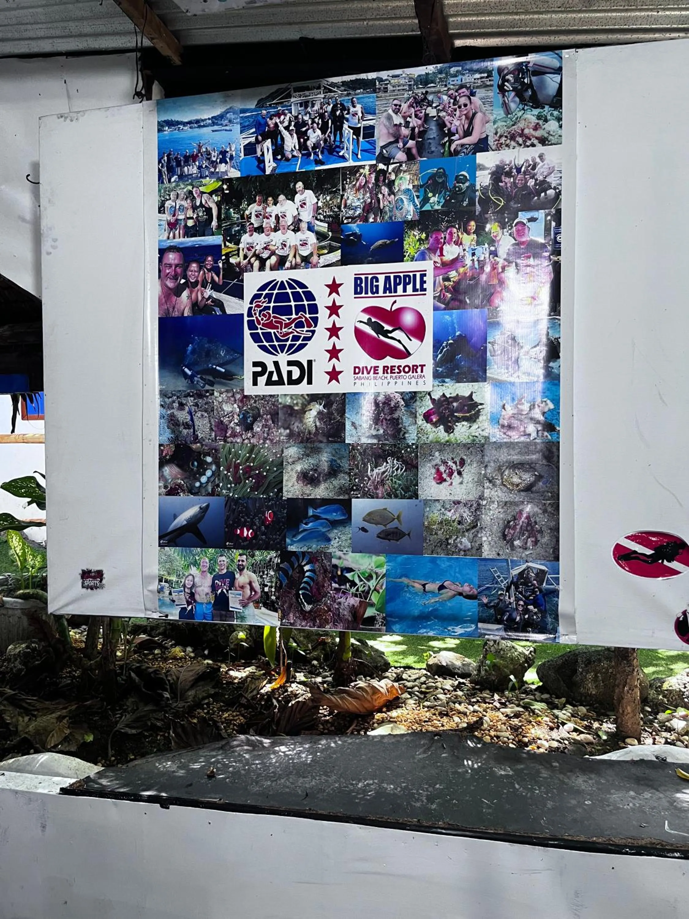 Big Apple Dive Resort