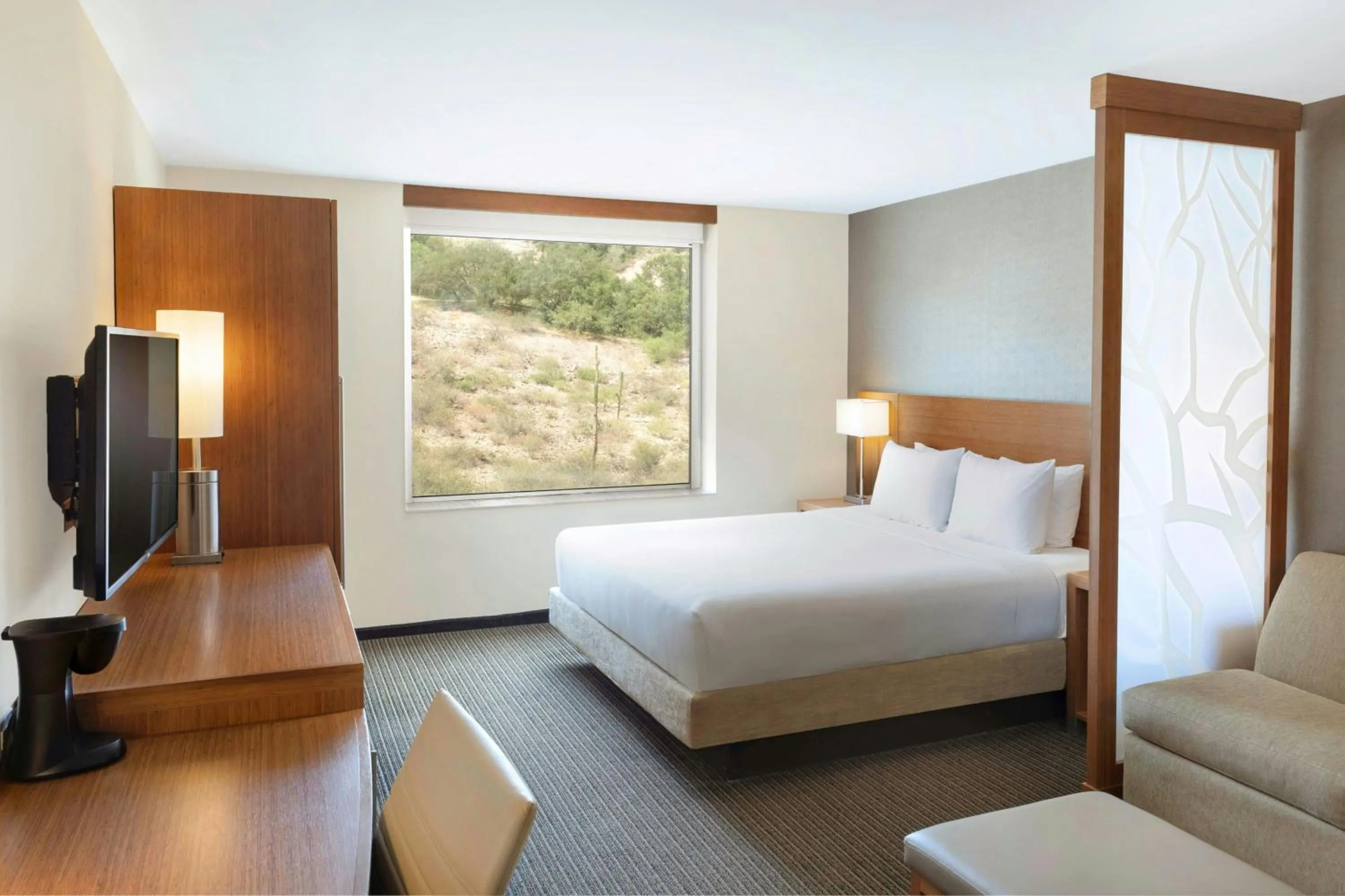 Photo of the whole room, Bed in Hyatt Place La Paz