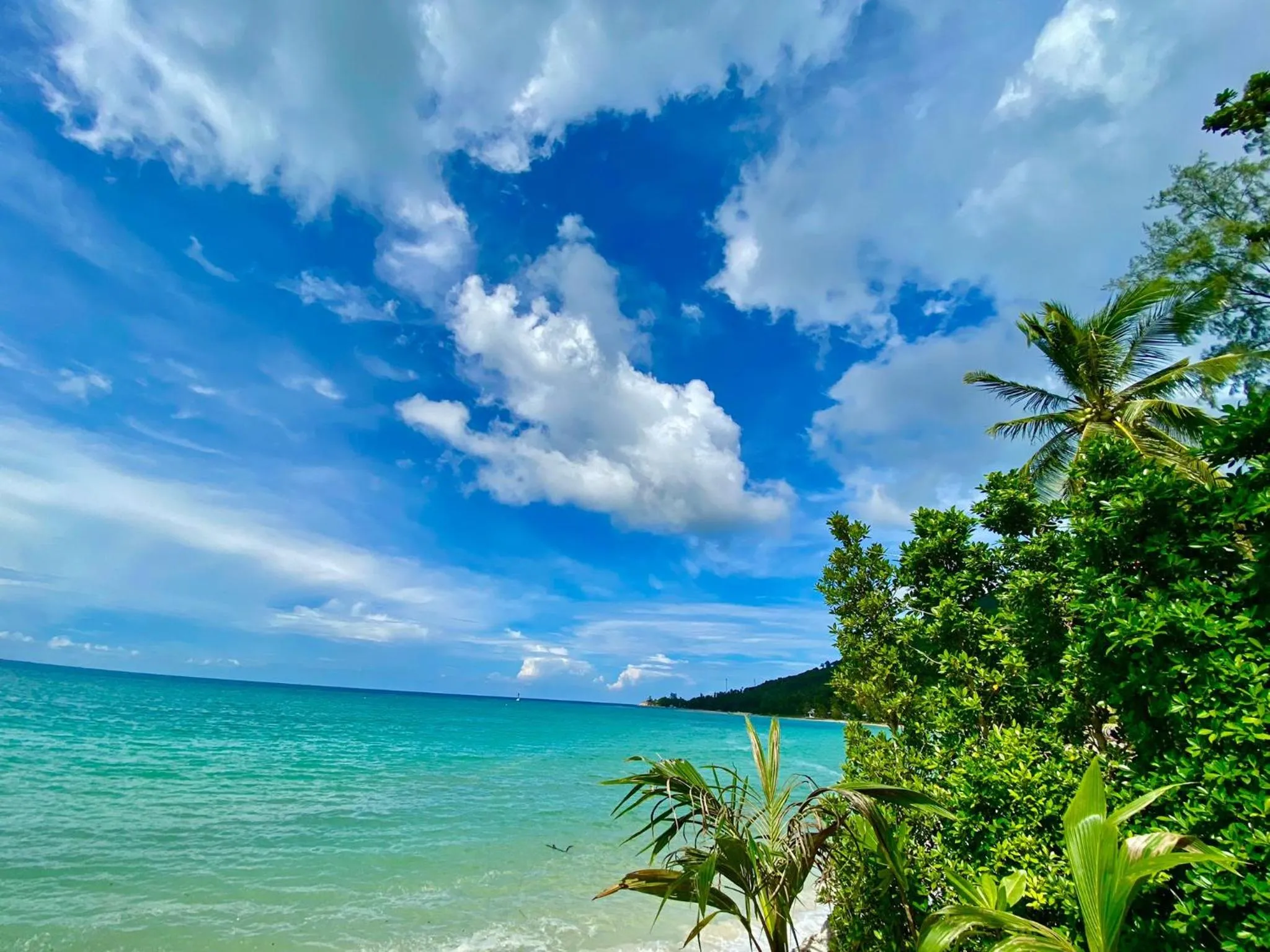 Nearby landmark in VIVA on the Beach Hotel
