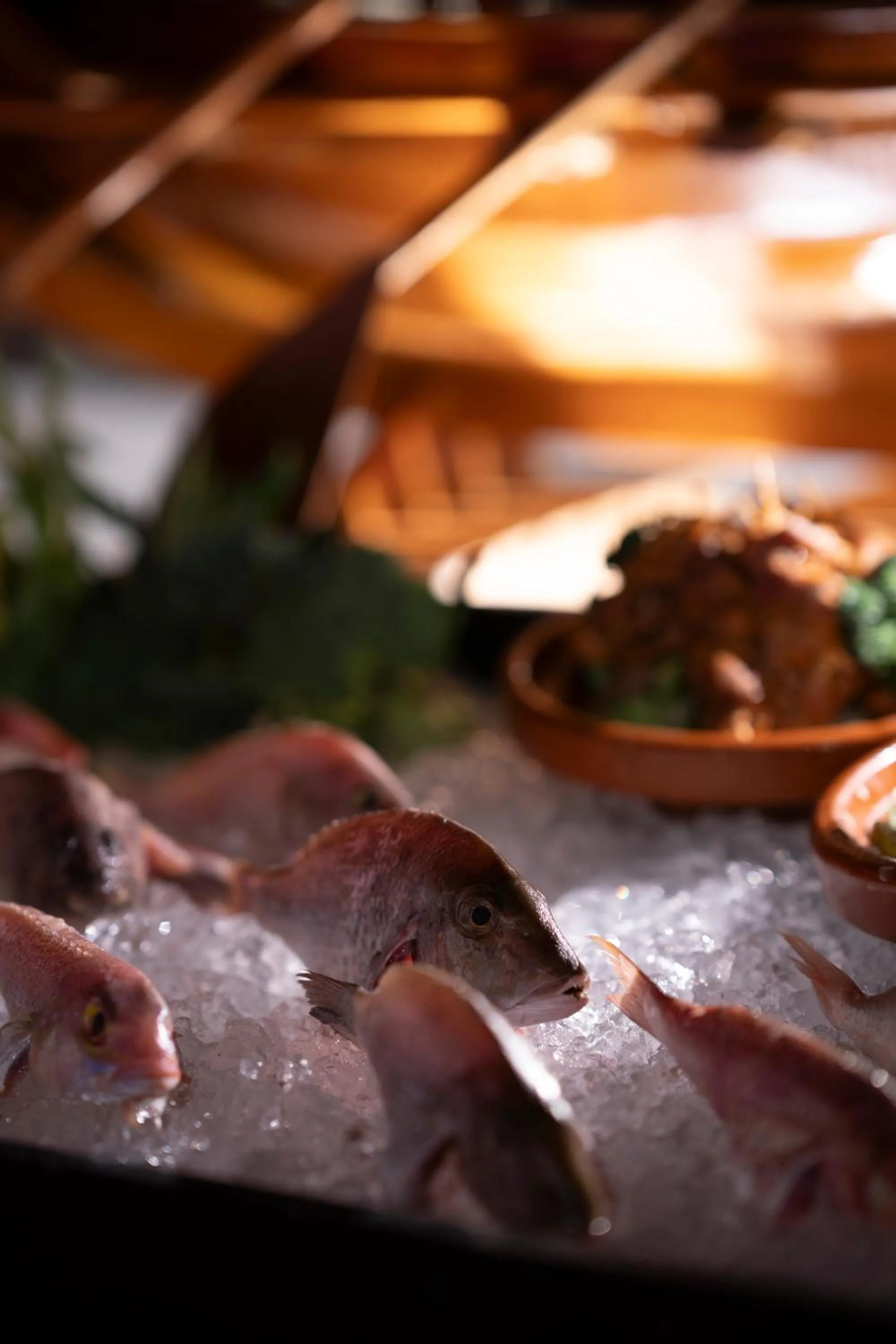 Atana Musandam Resort