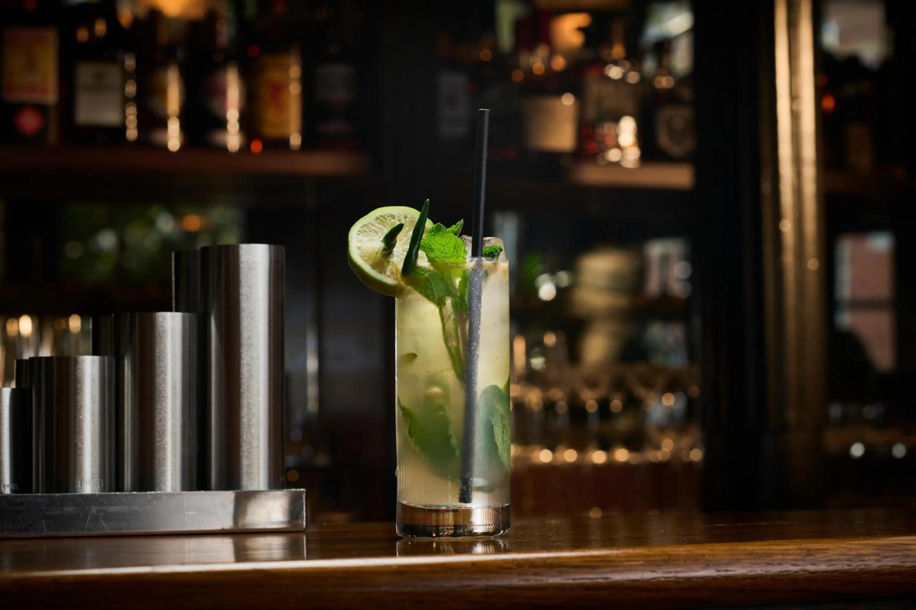 THE KNIGHT OF NOTTINGHILL