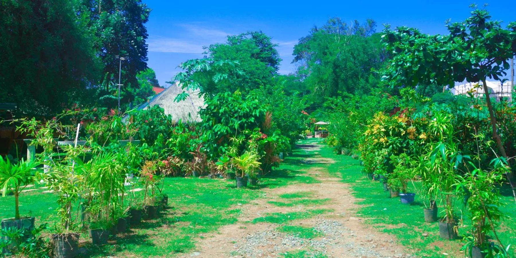 Property building in Michelle Pension