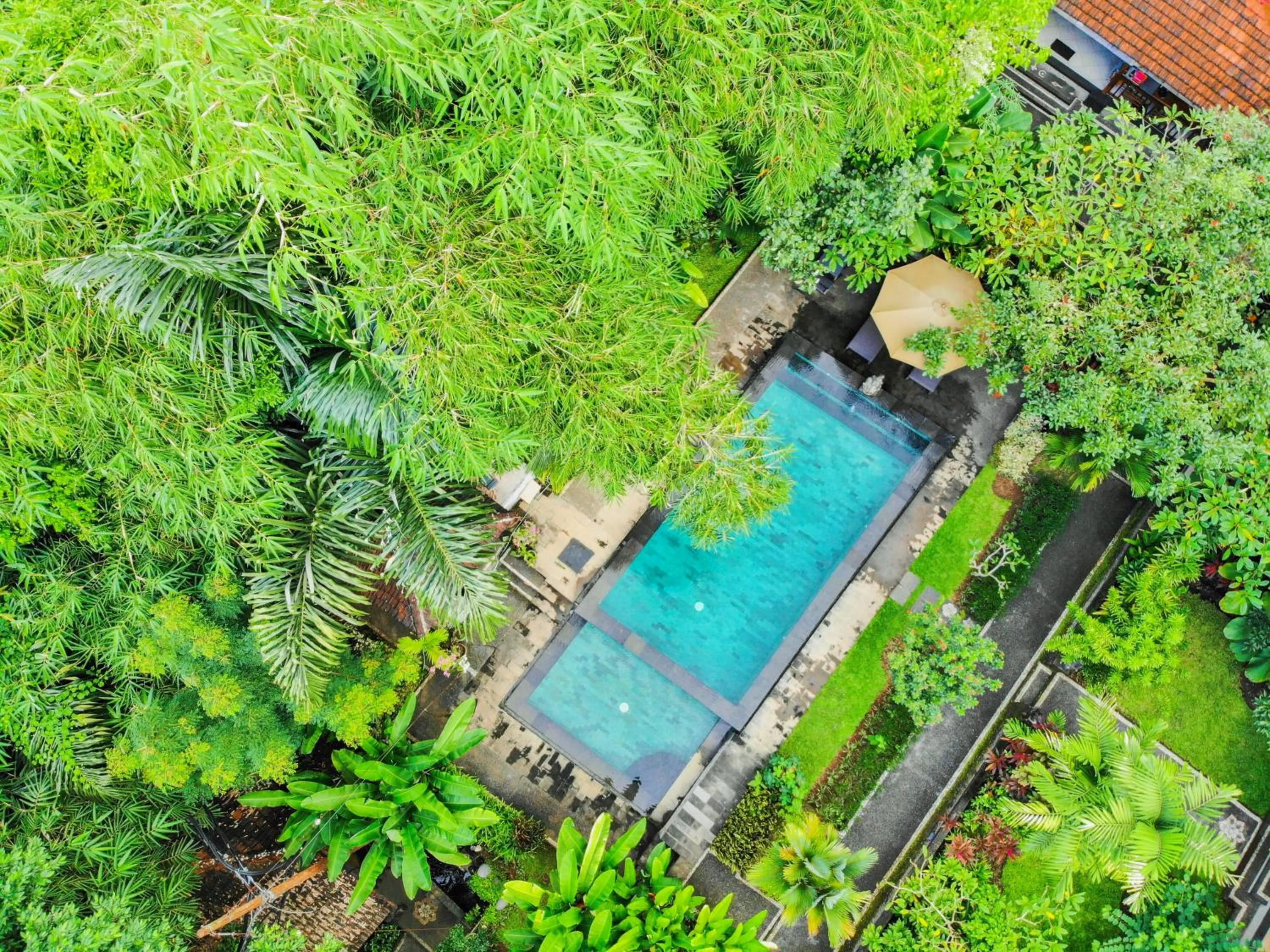 Bird's eye view in Sari Bamboo Villas