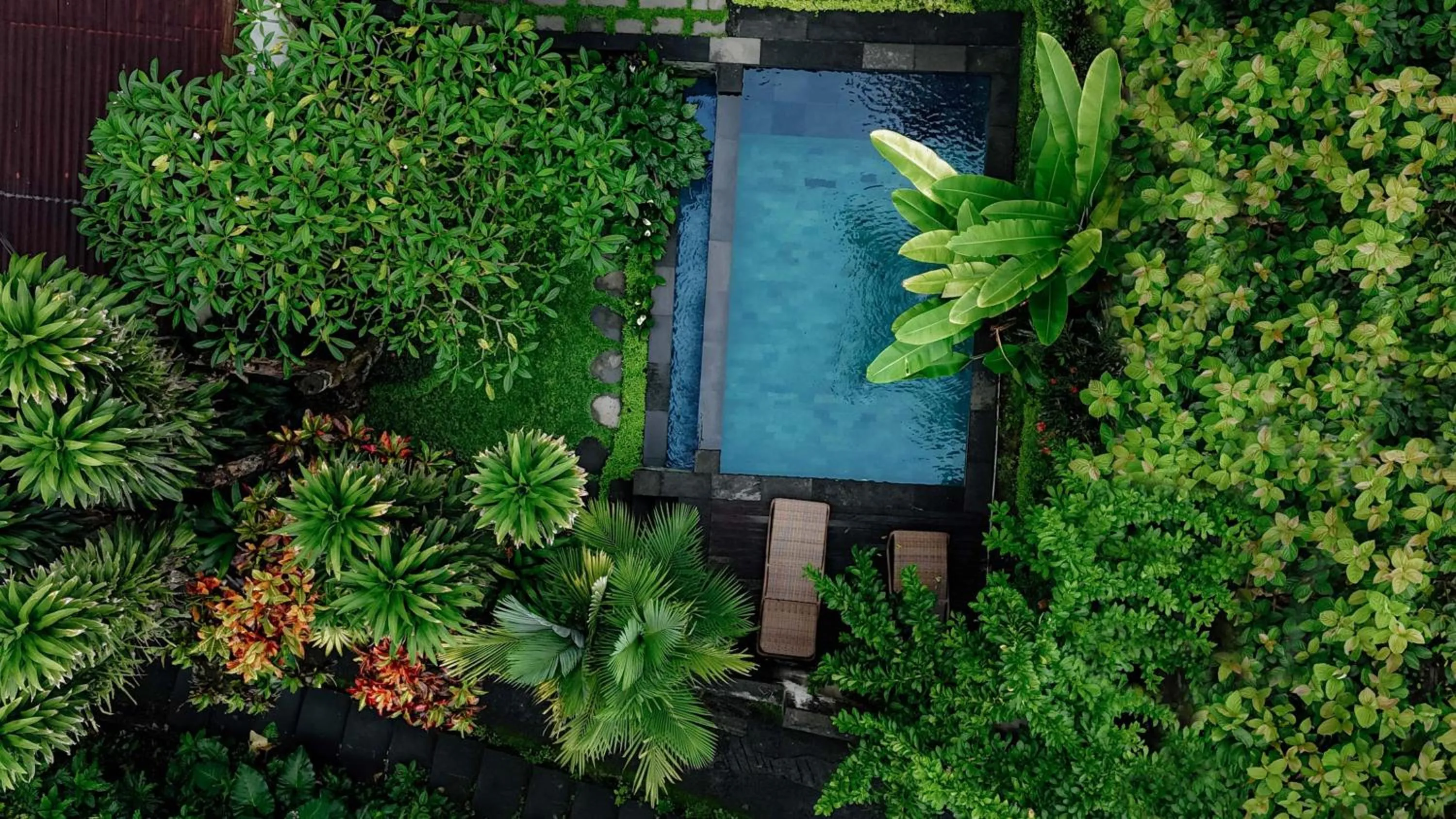 Swimming pool in Sari Bamboo Villas