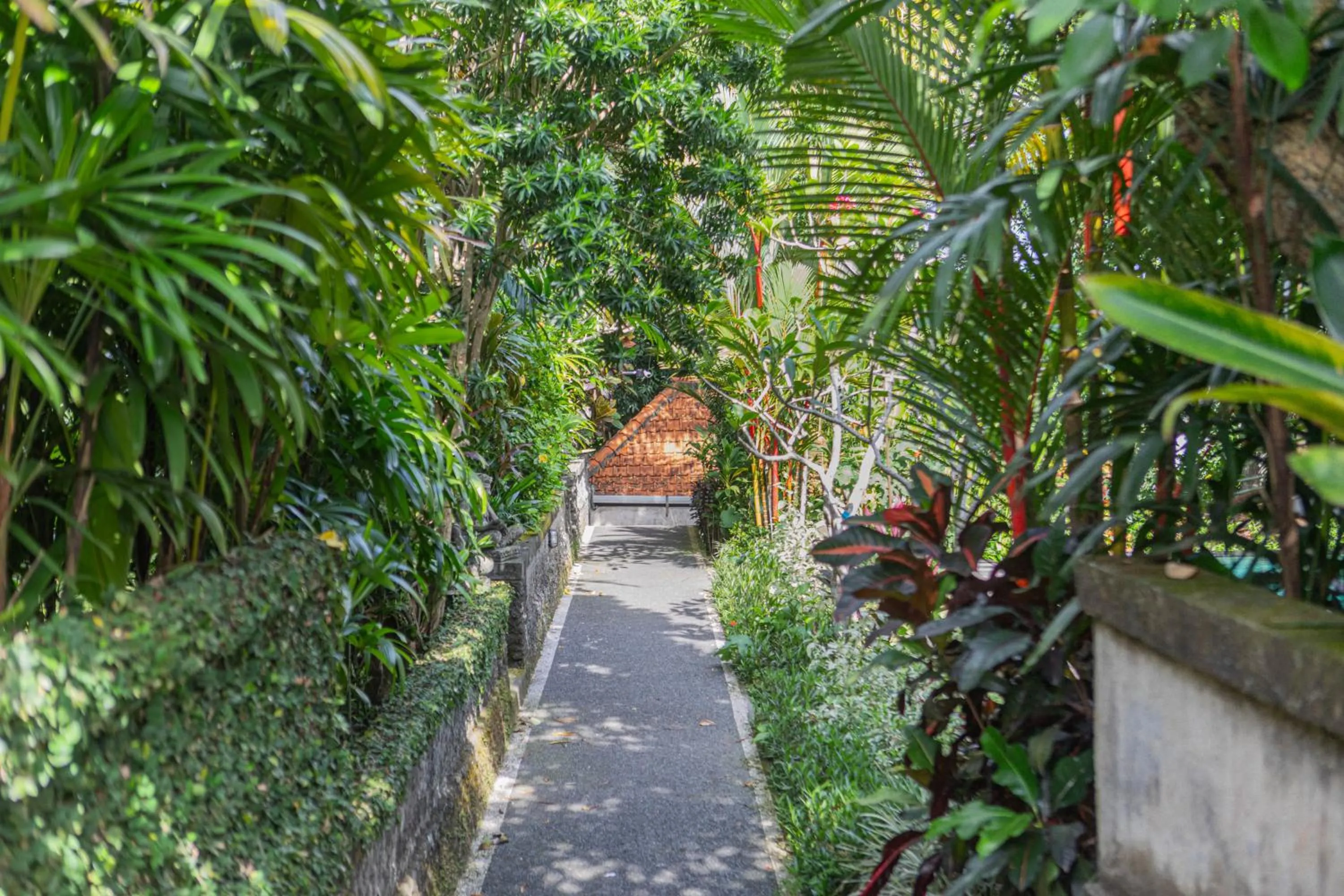 Garden in Sari Bamboo Villas