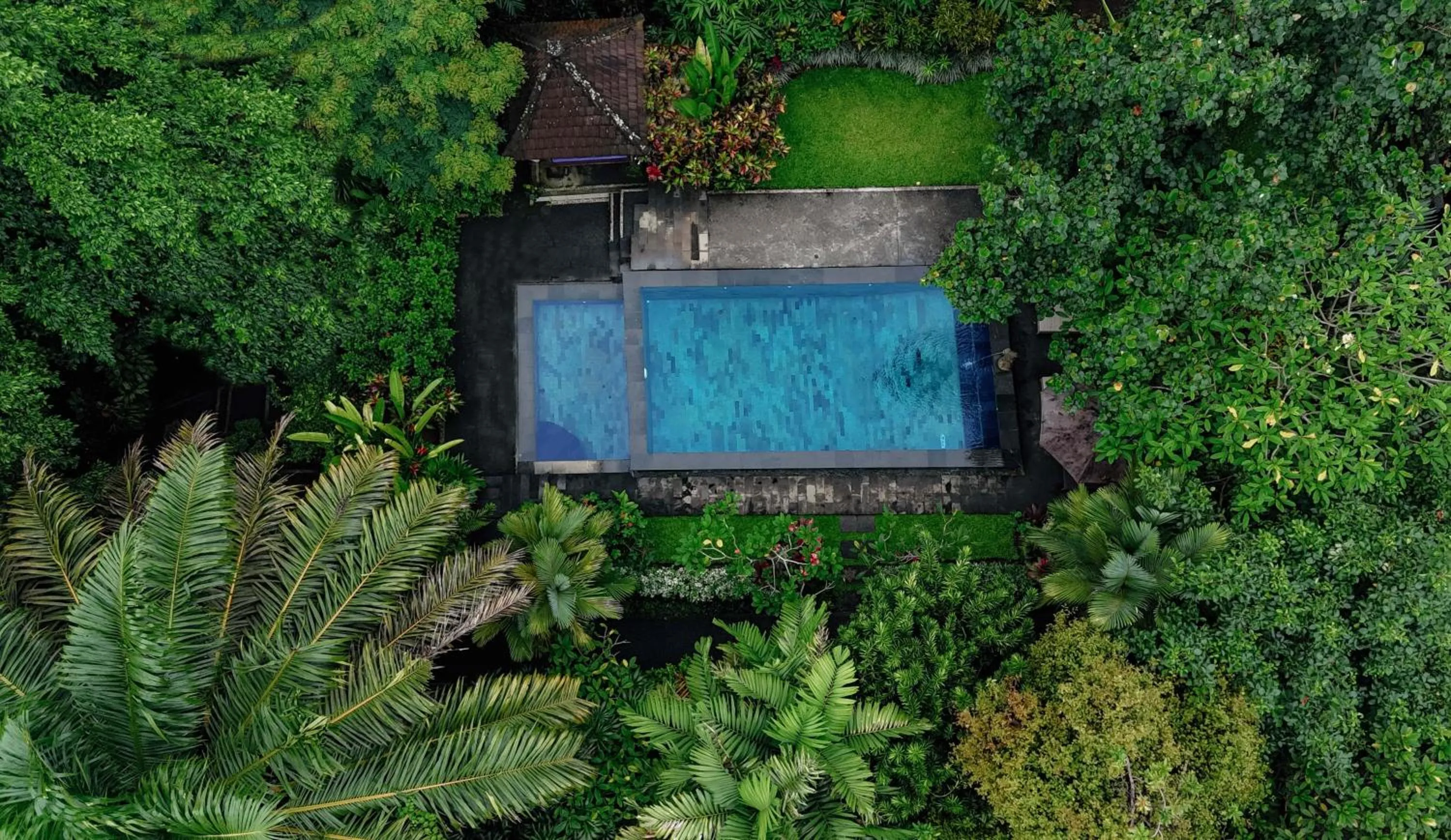Swimming pool in Sari Bamboo Villas