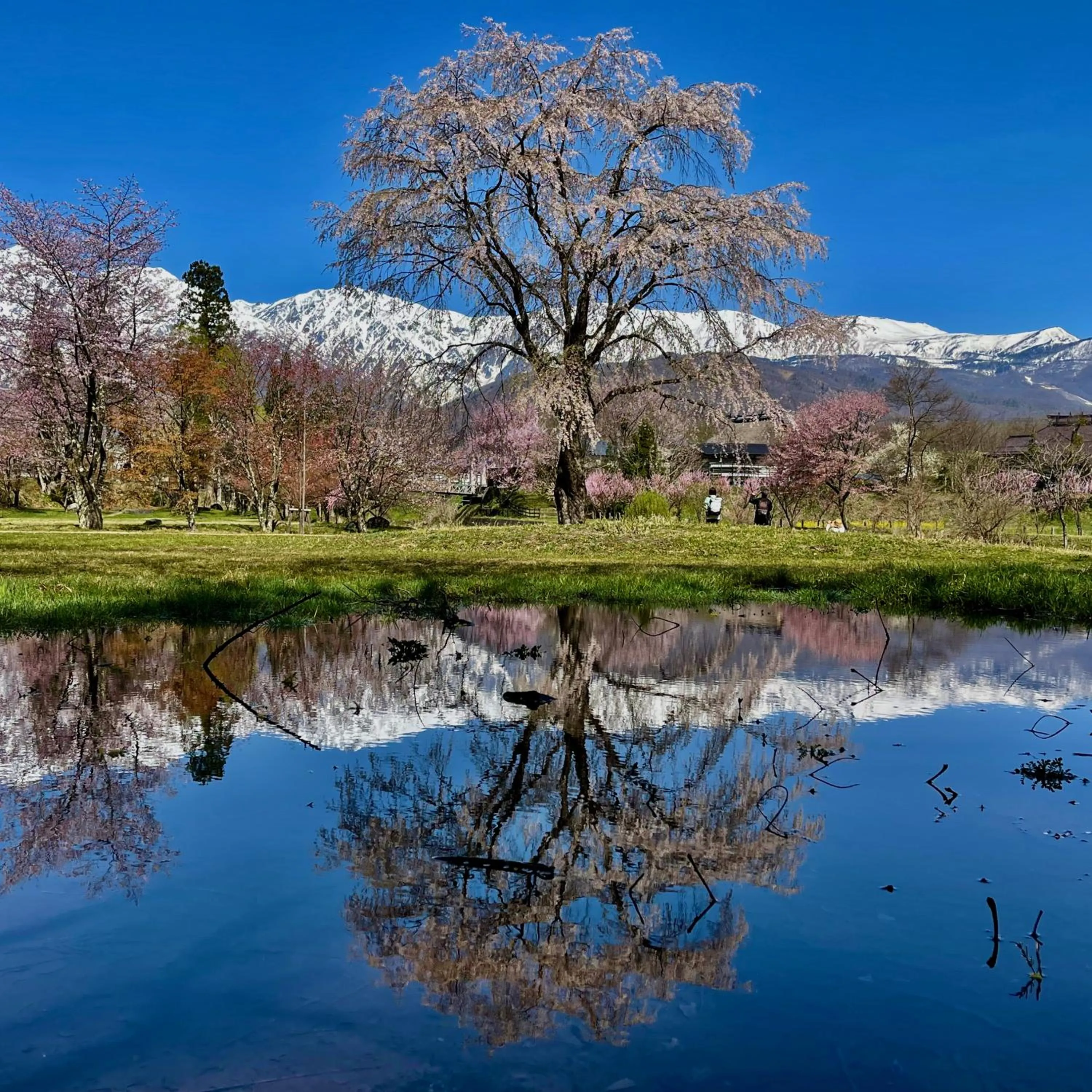 Nearby landmark in Hotel Sejour Mint in Hakuba