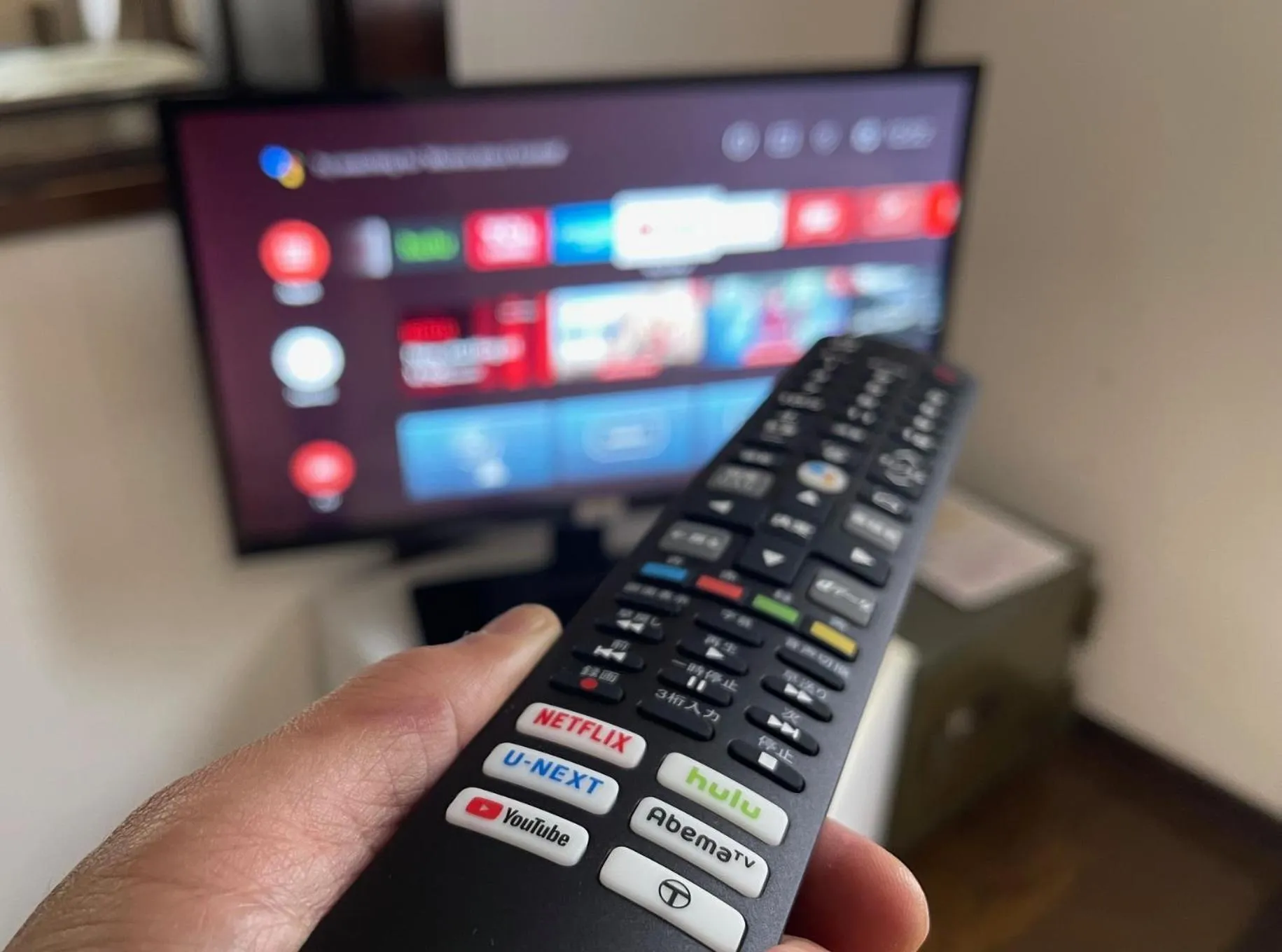 TV and multimedia in Hotel Sejour Mint in Hakuba